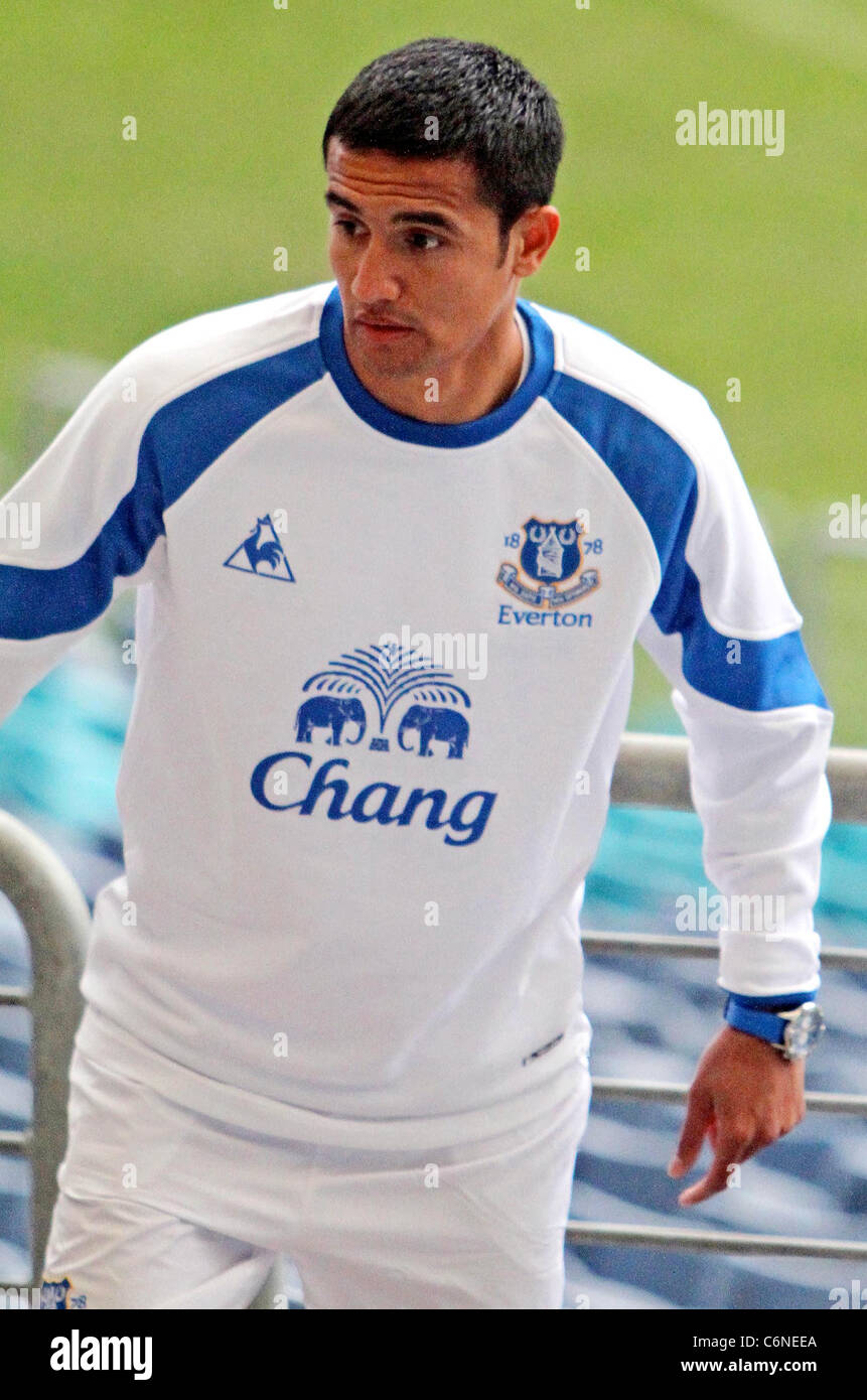 tim cahill everton jersey