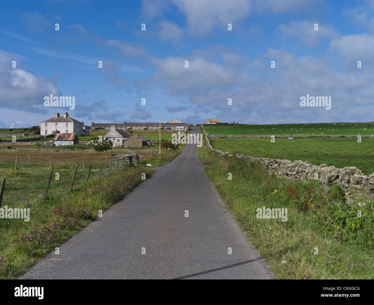 dh  PAPA WESTRAY ORKNEY Scottish island Village country road Papa Westry northern community scotland Stock Photo