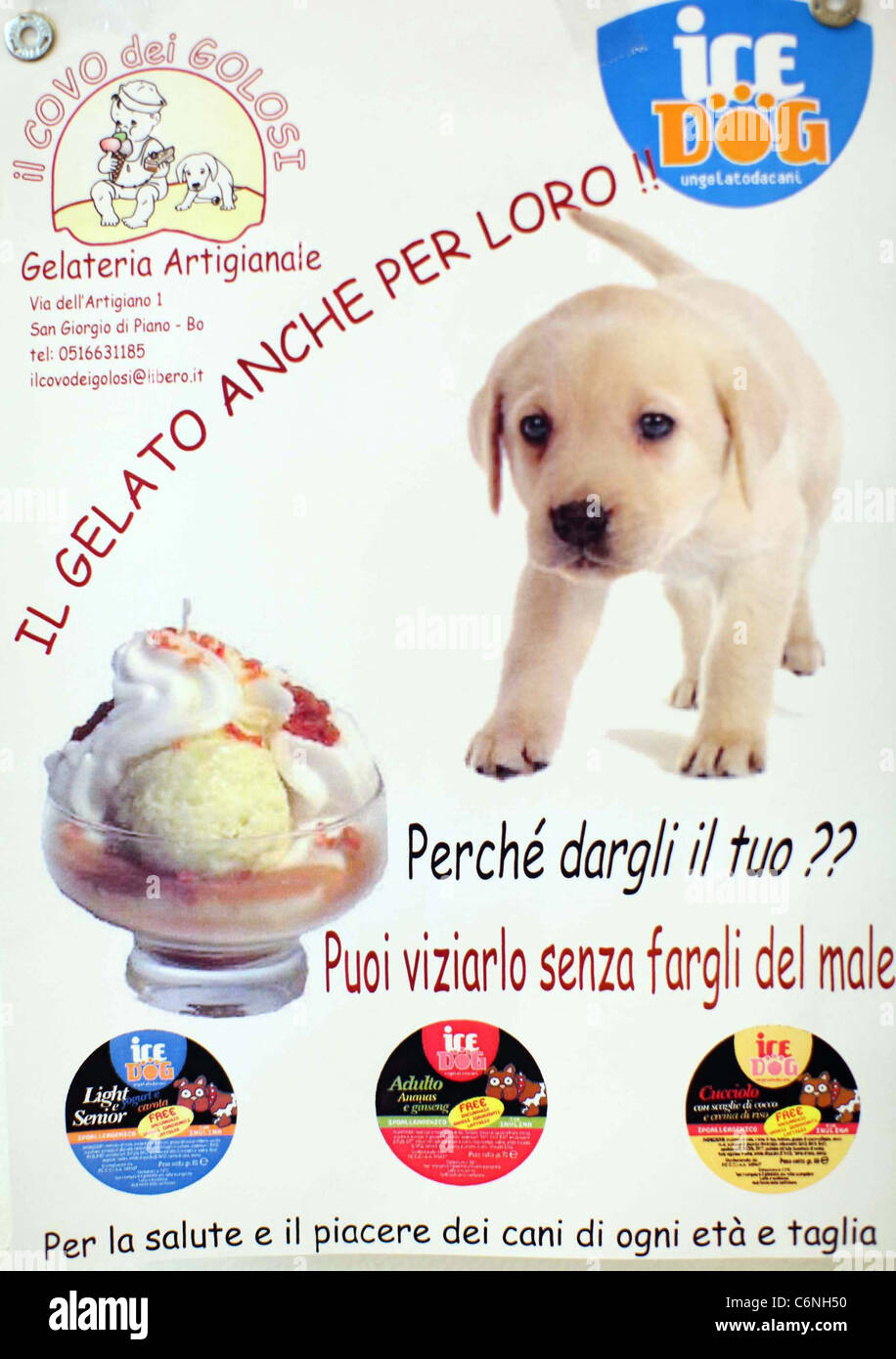 ICE CREAM PARLOUR FOR DOGS IS JUST BARKING This is one way to cool down