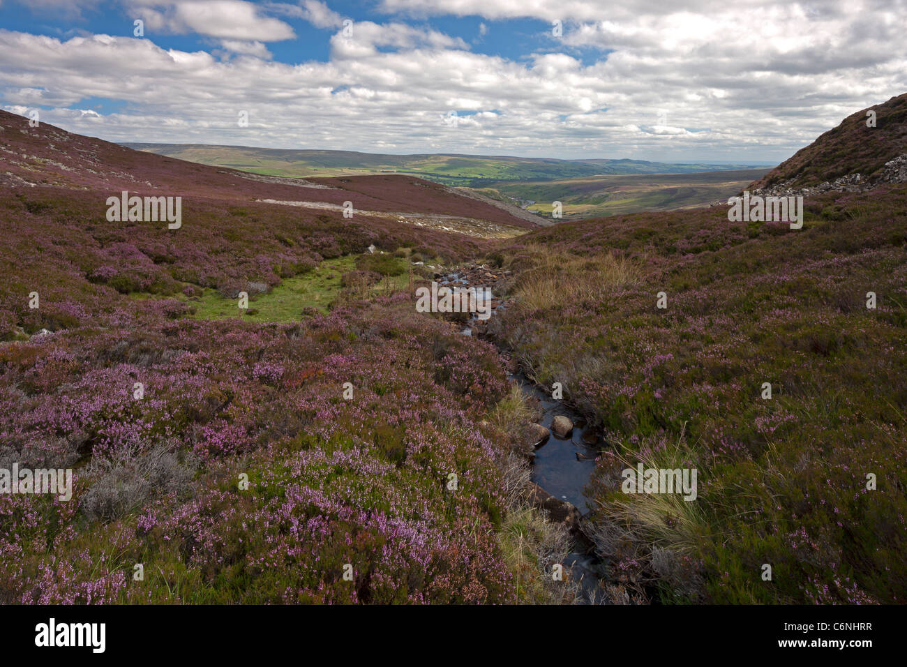 Upper Teesdale Moor near Langdon Beck in the North Pennines, County Durham in summertime Stock Photo