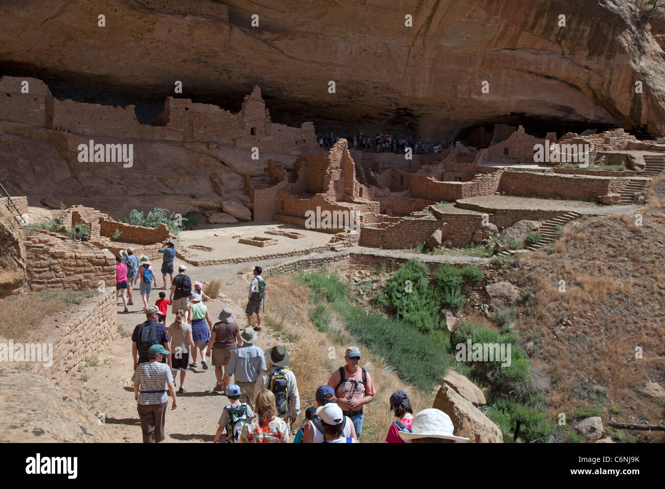The Long House cliff dwelling at Mesa Verde National Park Stock Photo ...