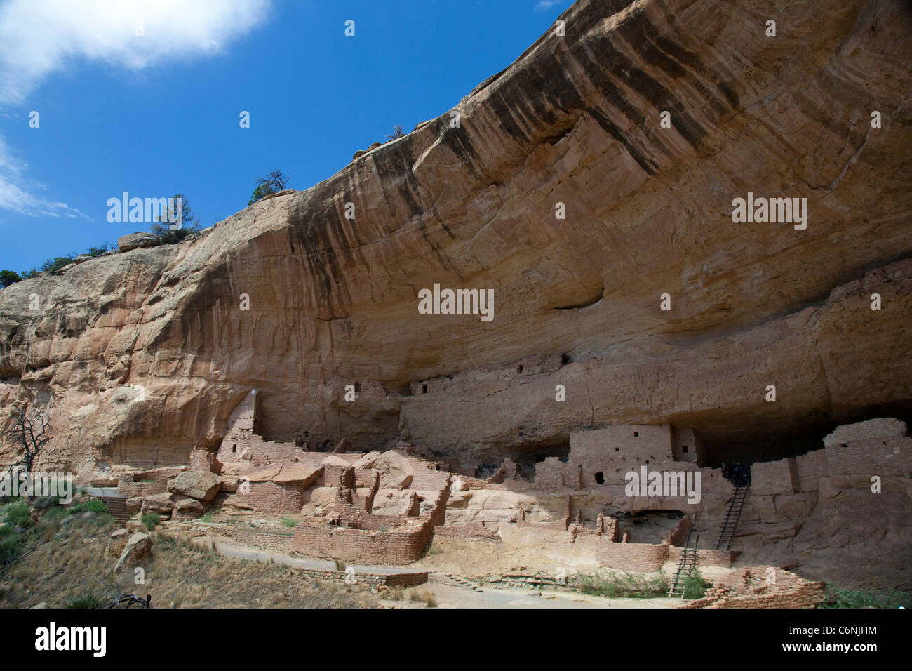 The Long House cliff dwelling at Mesa Verde National Park Stock Photo ...