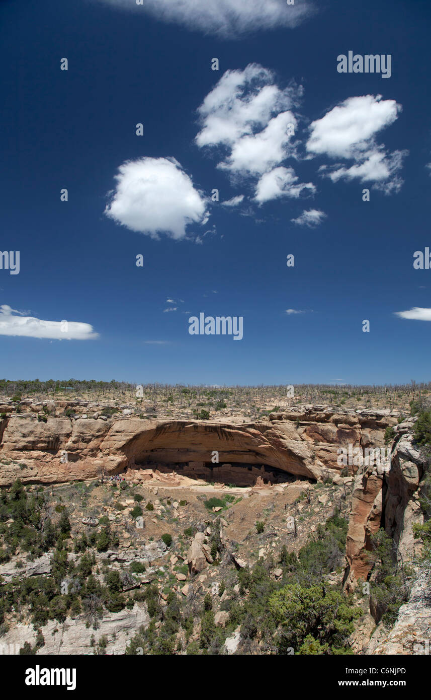 The Long House cliff dwelling at Mesa Verde National Park Stock Photo ...
