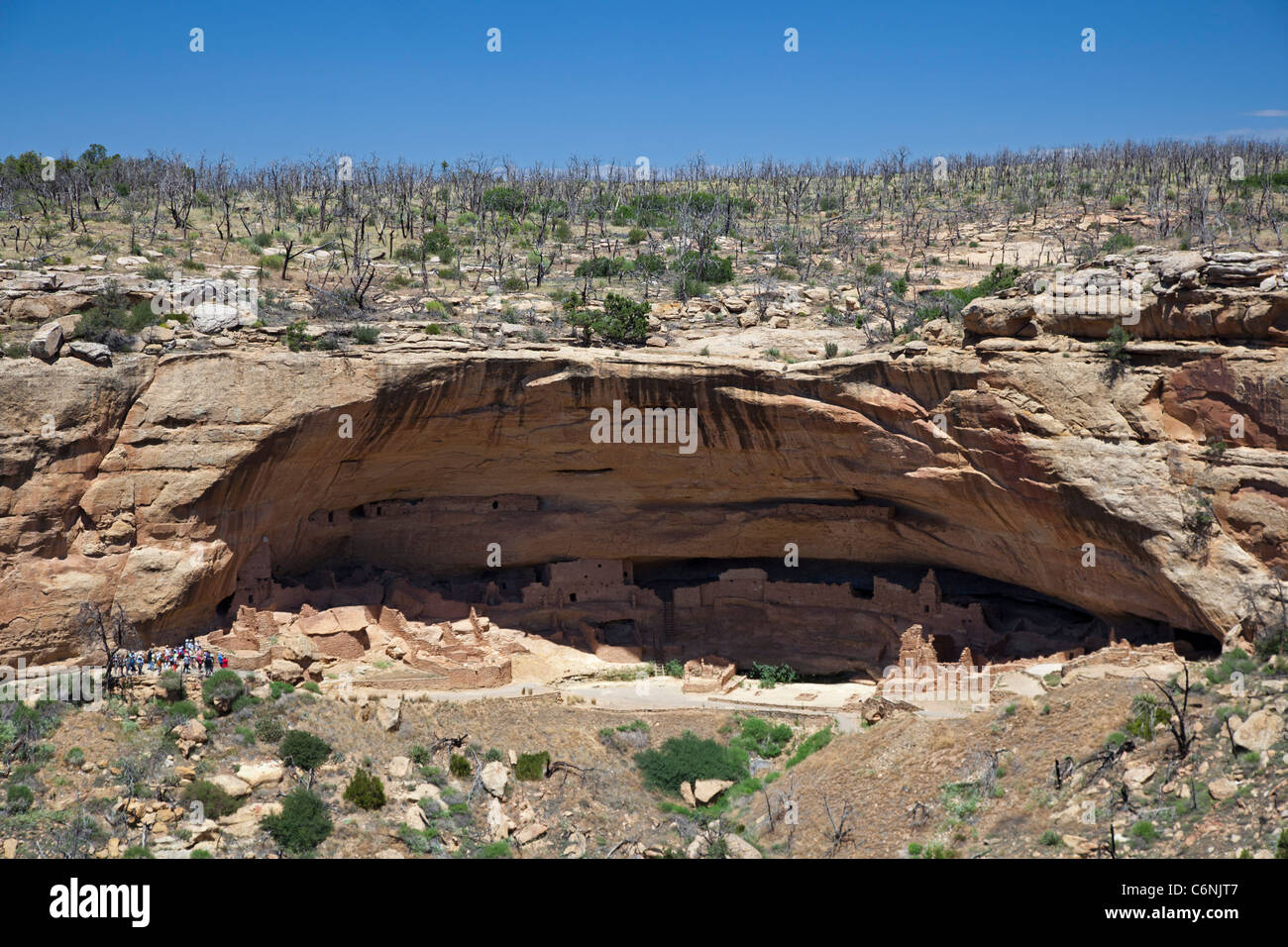 The Long House cliff dwelling at Mesa Verde National Park Stock Photo ...