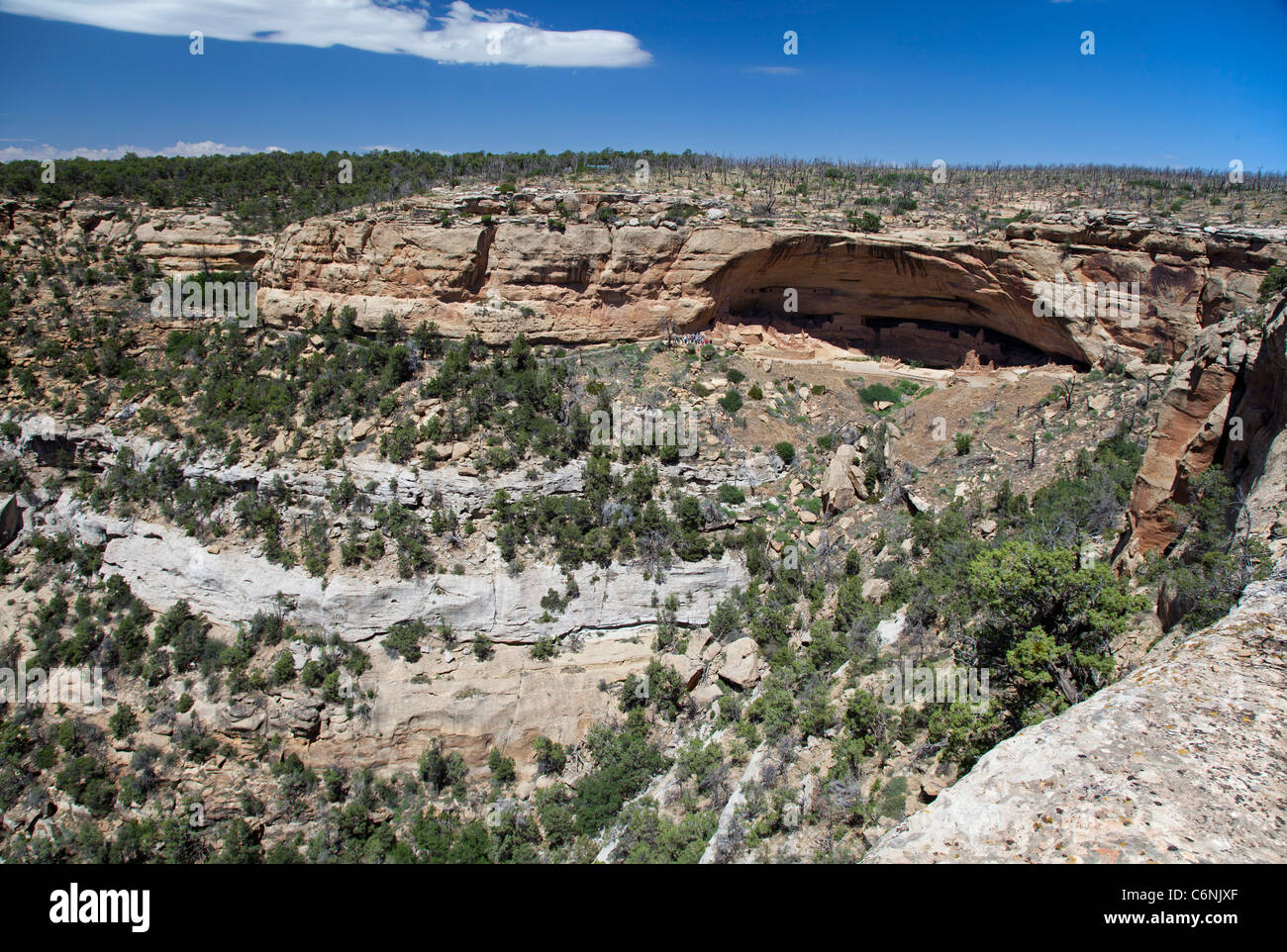 The Long House cliff dwelling at Mesa Verde National Park Stock Photo