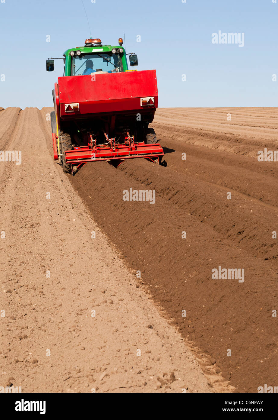 An agricultural tractor with a potato planter fitted planting potatoes Stock Photo