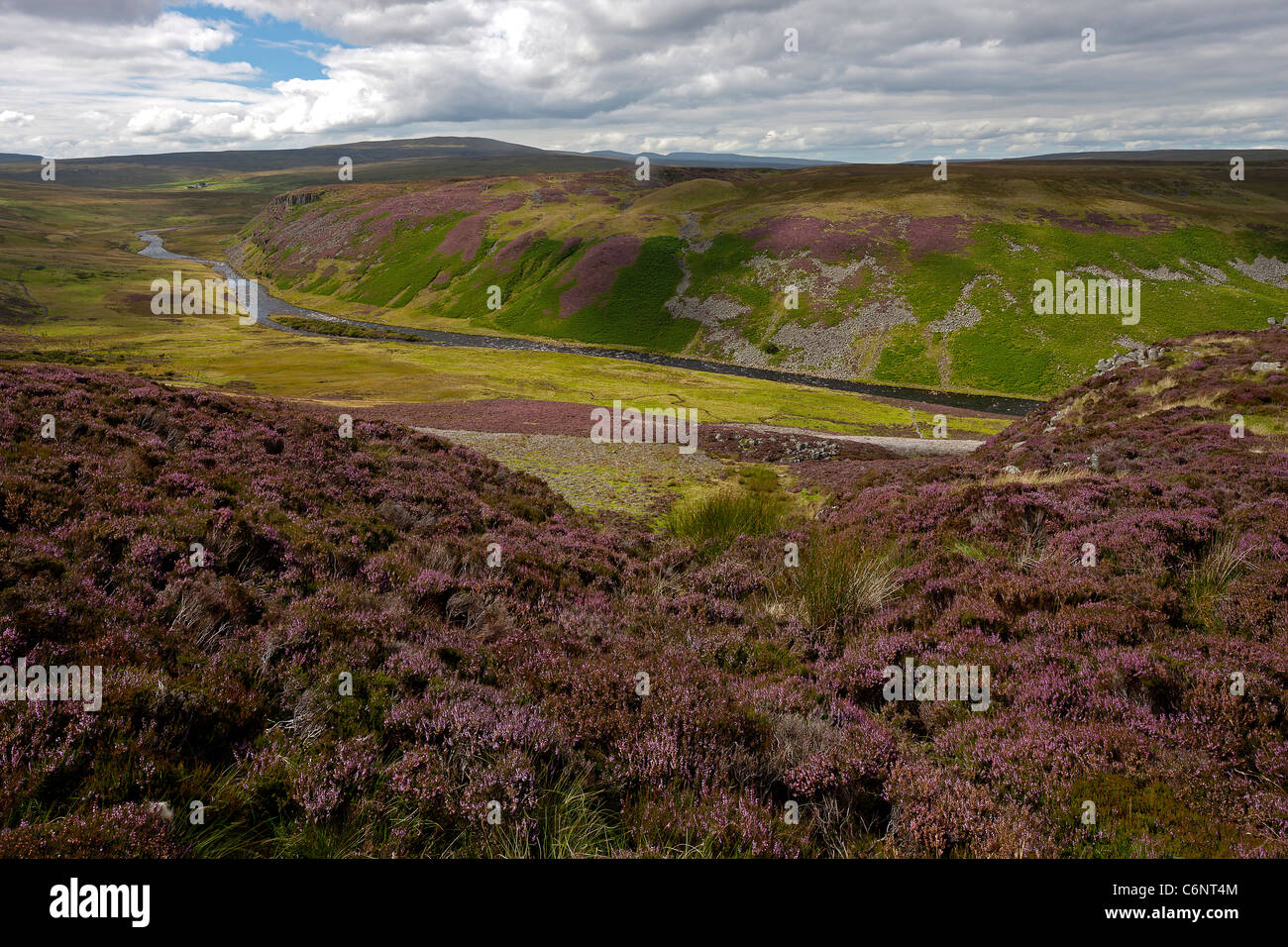 Upper Teesdale Moor near Langdon Beck in the North Pennines, County Durham in summertime Stock Photo