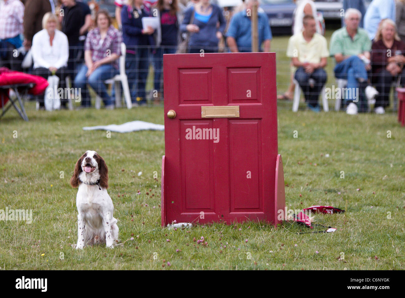 A hearing assistance dog shows how it is trained to react to a door bell at the Bucks County Show 2011 Stock Photo