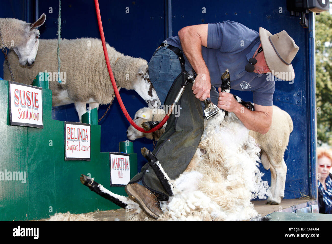 Stuart Barnes (pictured) shears a sheep as part of his sheep show at ...