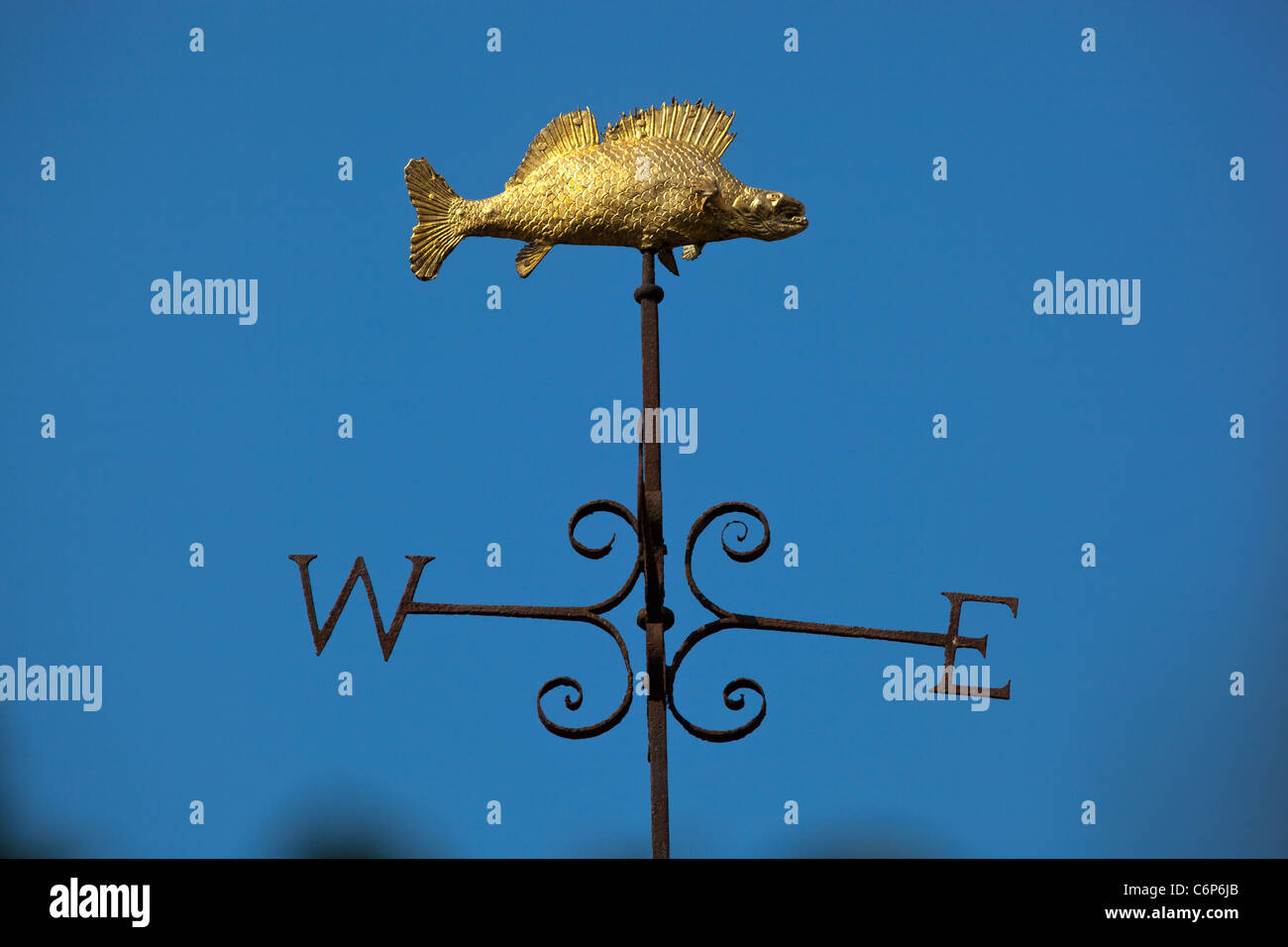 'The Bradford Gudgeon' Weathervane on the top The Old Lock Up Gaol on the Town Bridge at Bradford on Avon Stock Photo