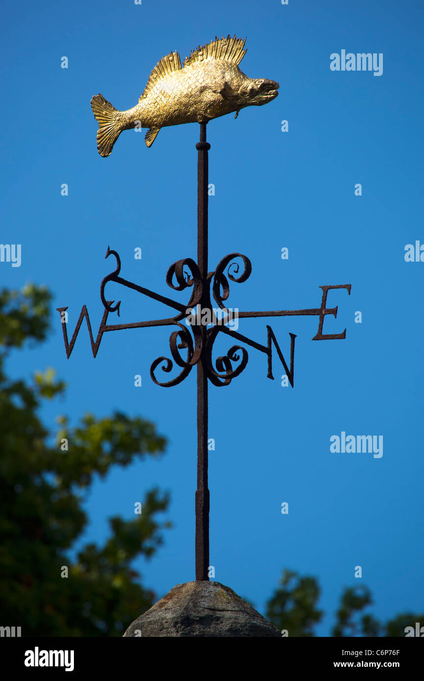 'The Bradford Gudgeon' Weathervane on the top The Old Lock Up Gaol on the Town Bridge at Bradford on Avon Stock Photo
