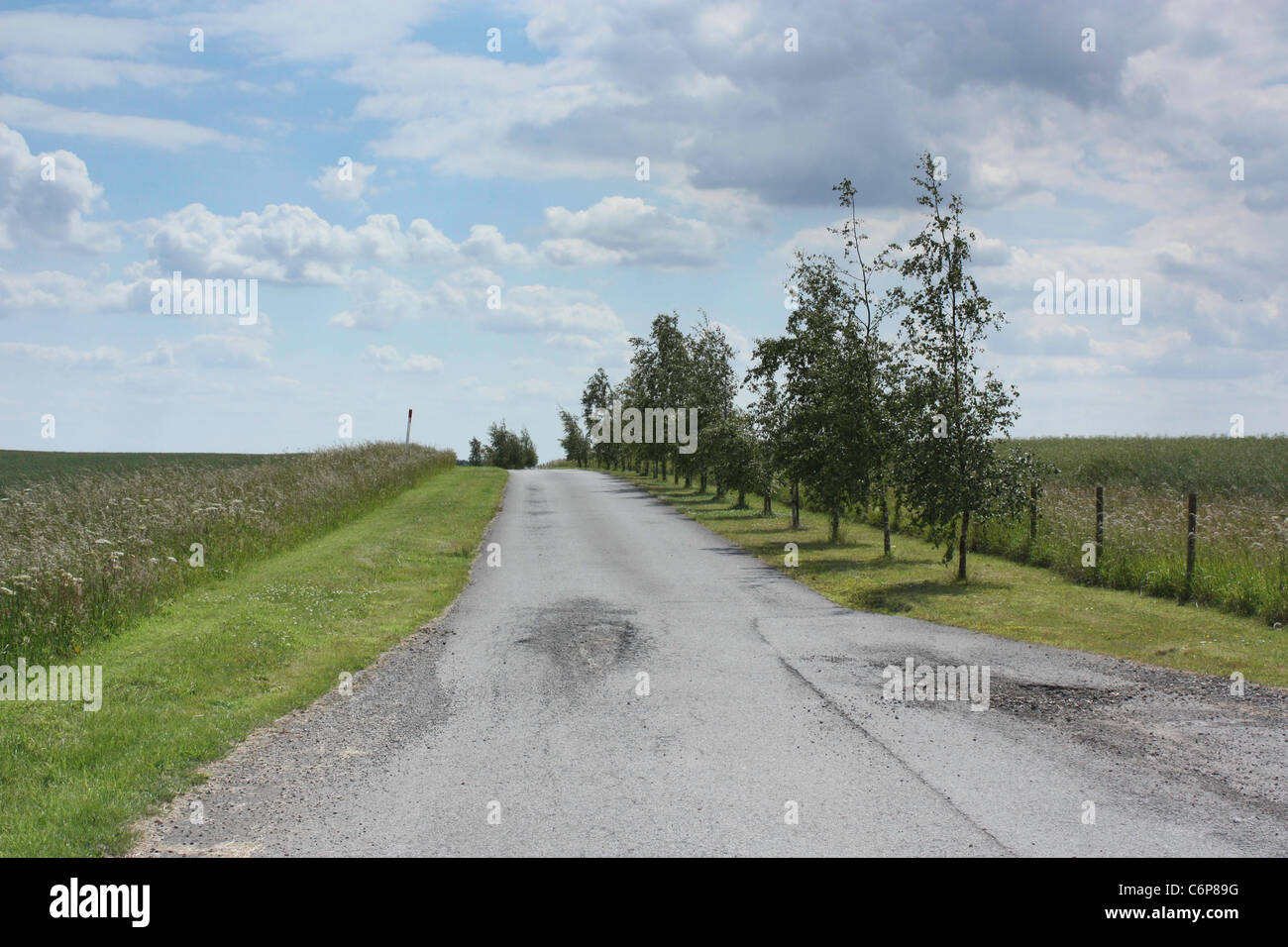 Wide view of road with trees in North Lincolnshire Stock Photo