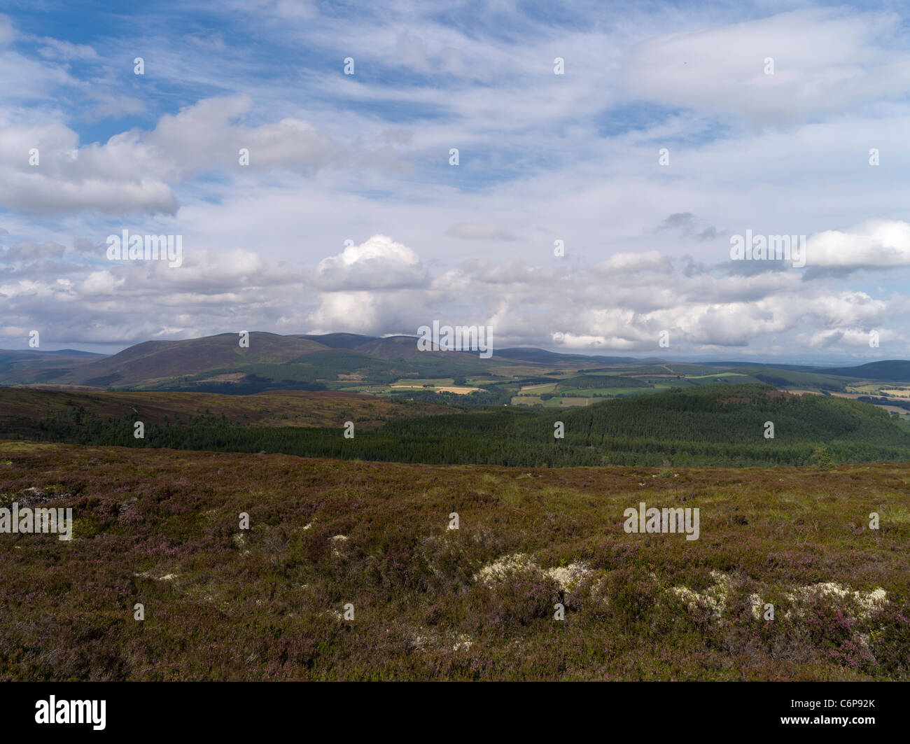 dh  FYRISH HILL ROSS CROMARTY Scottish View from Cnoc Fyrish Highland countryside Stock Photo