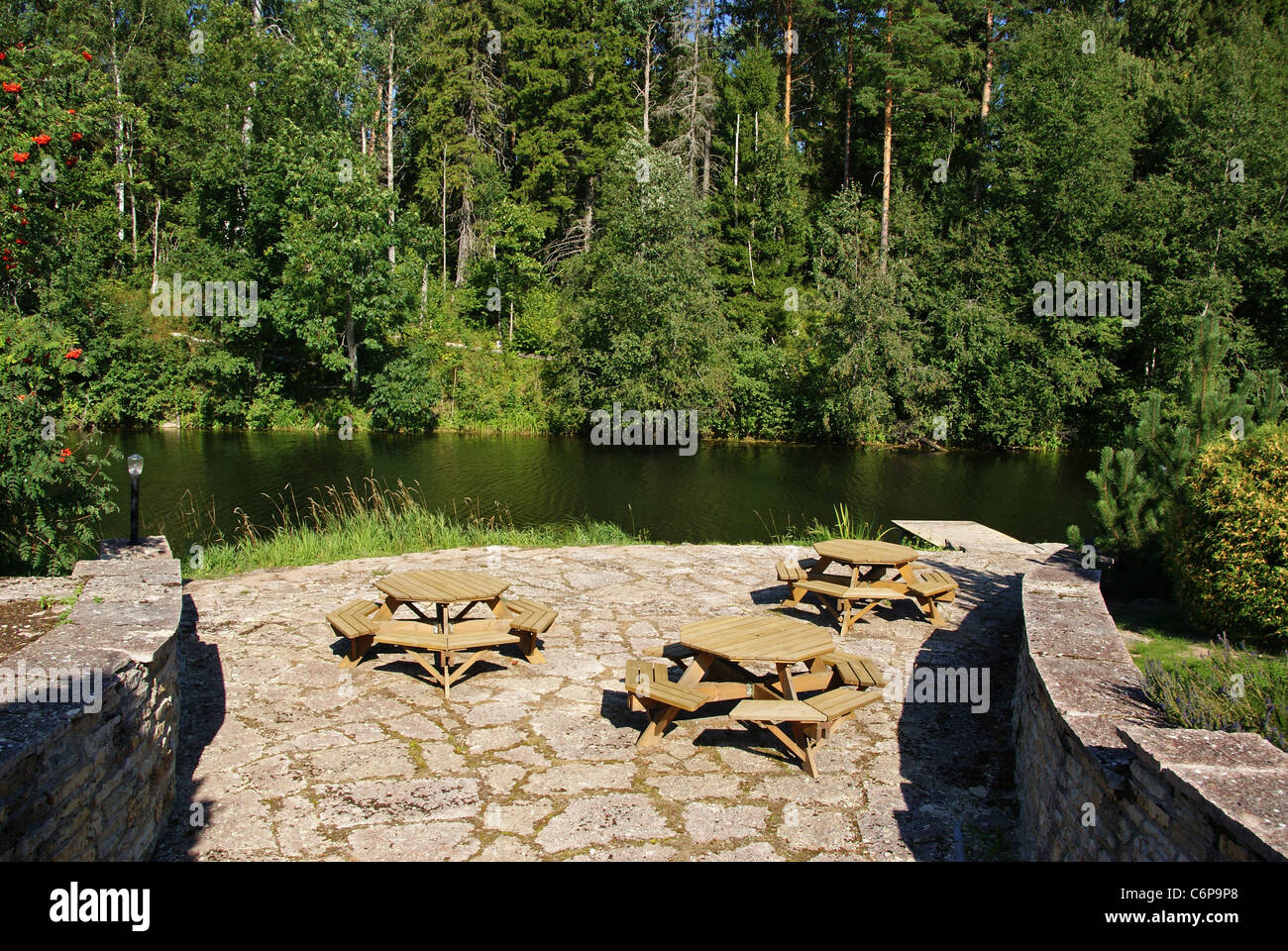 Trees landscape design nature hi-res stock photography and images - Alamy