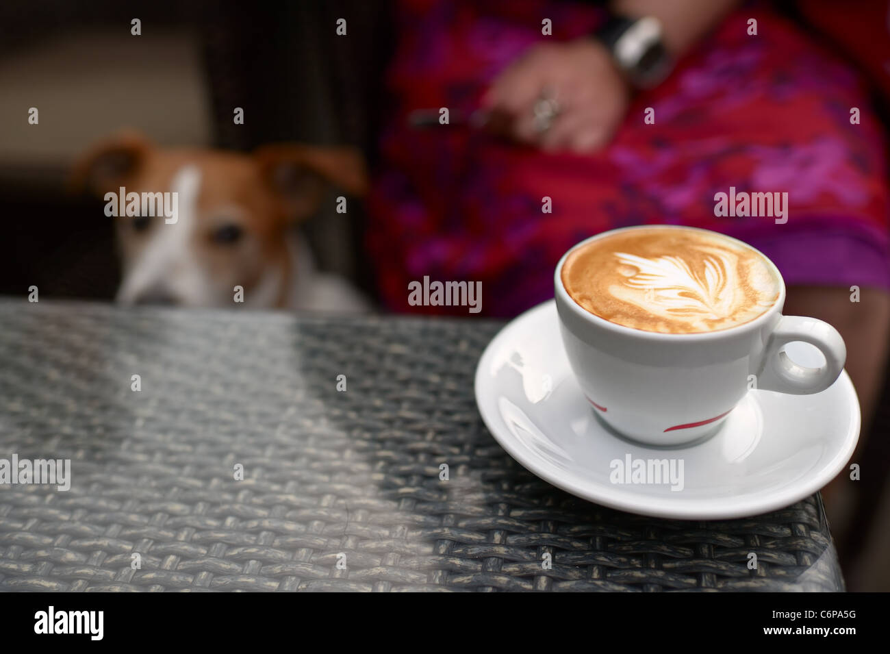 Decorative latte art, with a dog keeping an eye on the coffee cup Stock Photo