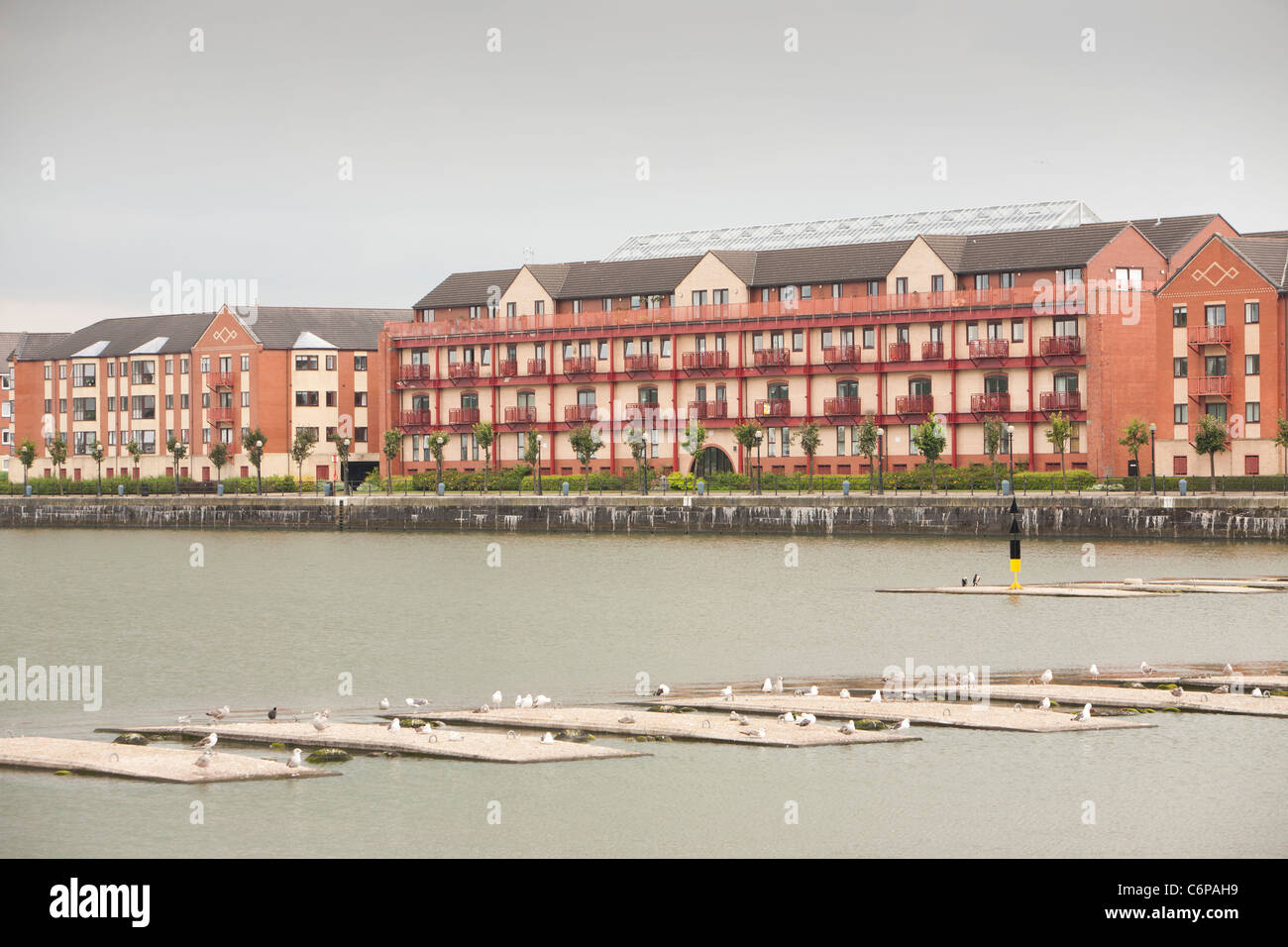 New apartment blocks at Preston Docks, Lancashire, UK Stock Photo Alamy