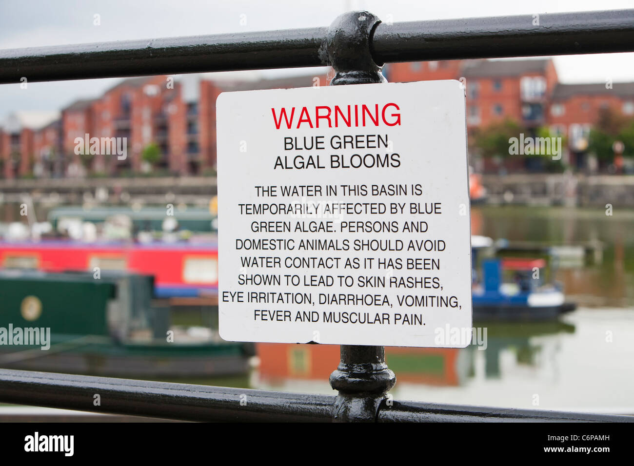 A warning sign about blue green algae at Preston Marina, Lancashire, UK. Stock Photo