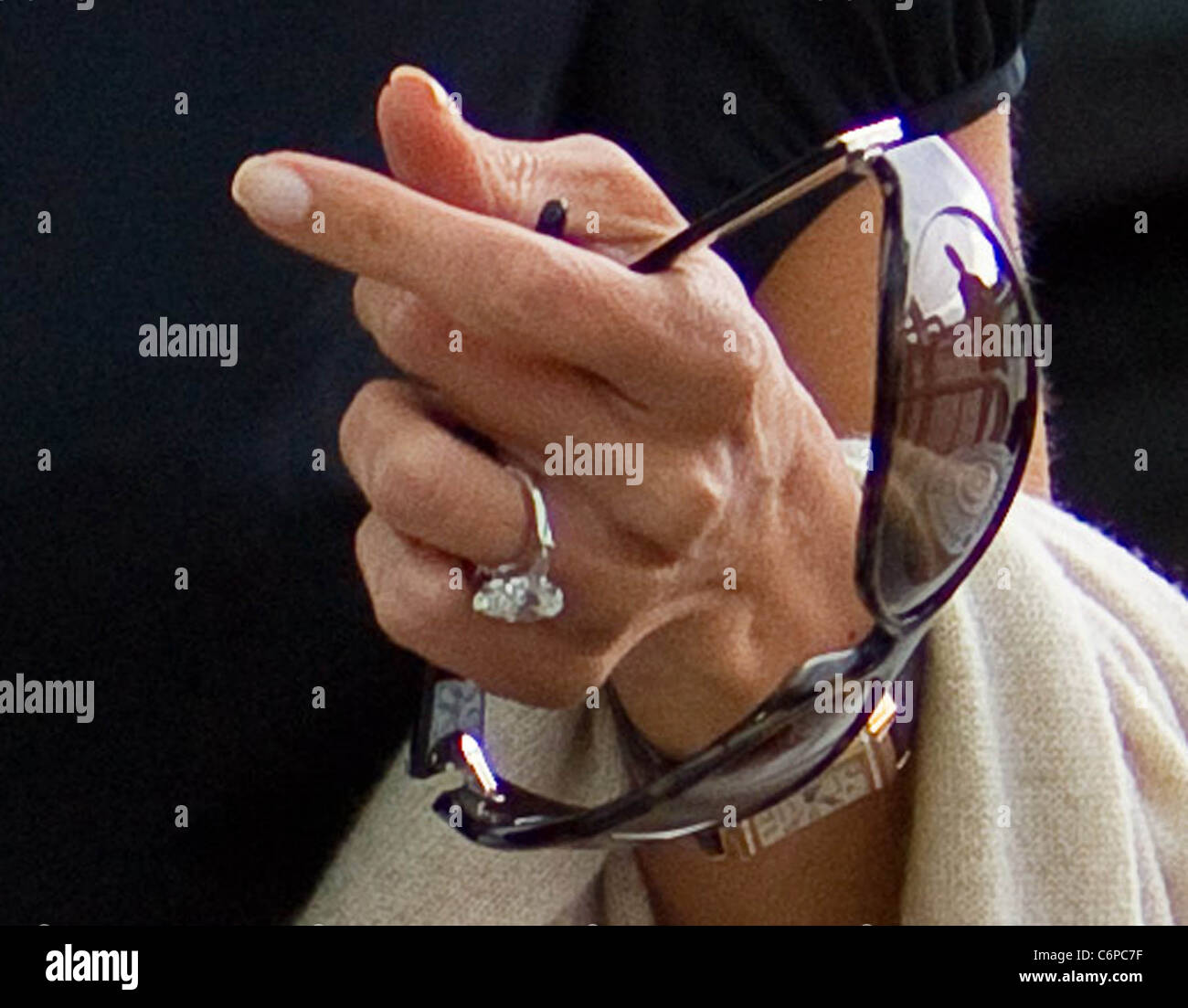 Mezhgan Hussainy s Engagement Ring Simon Cowell s fiancee at The