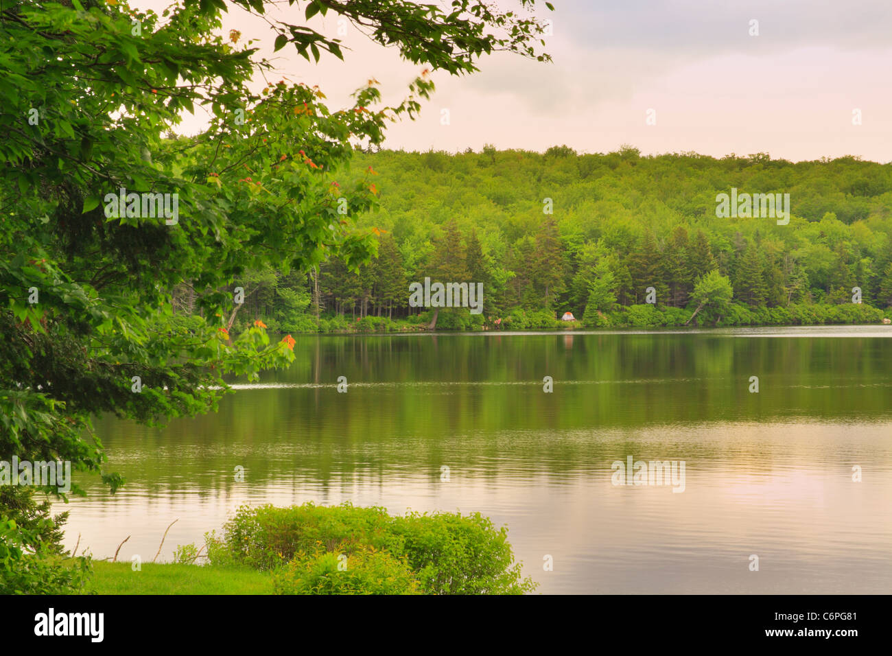 Grout Pond, Kelly Stand Road, Near Appalachian Trail, Arlington, Vermont, USA Stock Photo