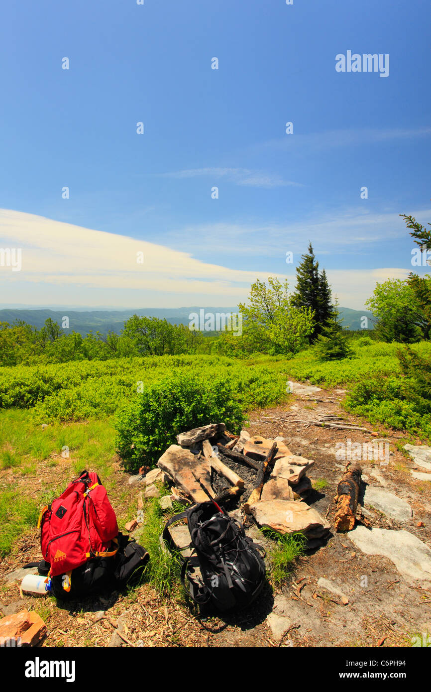 Camp Site, Hidden PassageTrail, Flat Rock and Roaring Plains, Dolly Sods, Dry Creek, West Virginia, USA Stock Photo