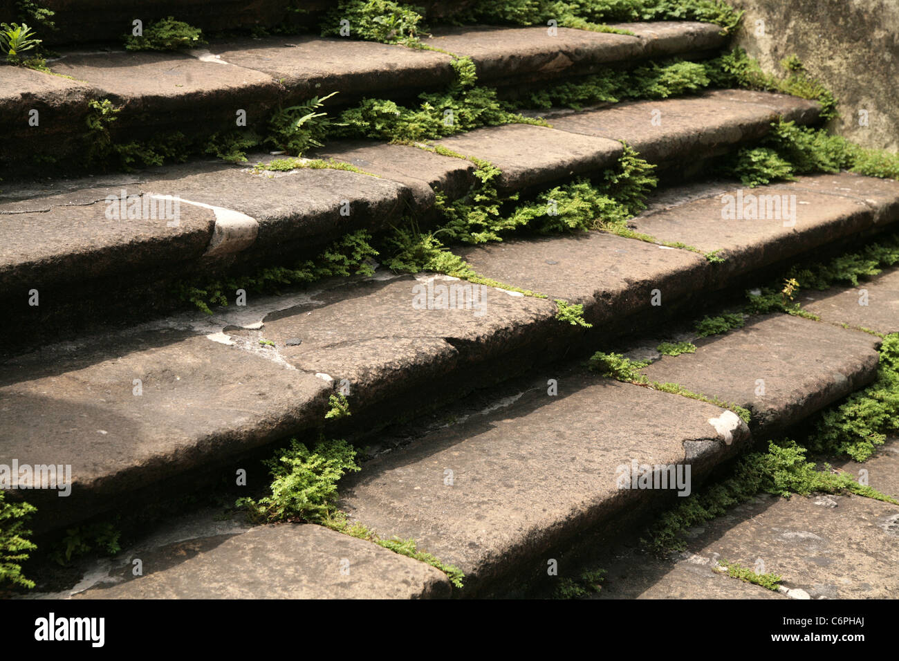 Old stone steps at La Merced Church in Panama City. Stock Photo