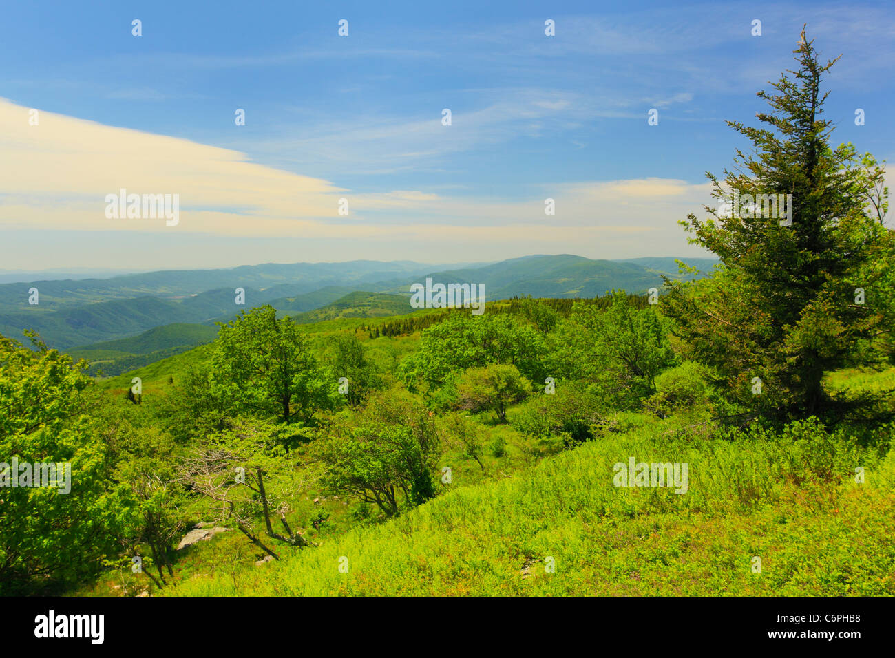 Hidden PassageTrail, Flat Rock and Roaring Plains, Dolly Sods, Dry Creek, West Virginia, USA Stock Photo