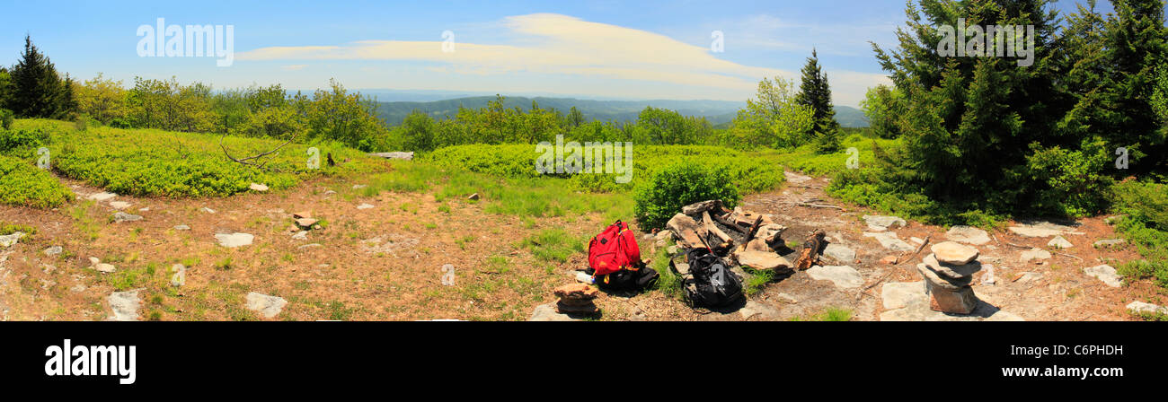 Camp Site, Hidden PassageTrail, Flat Rock and Roaring Plains, Dolly Sods, Dry Creek, West Virginia, USA Stock Photo