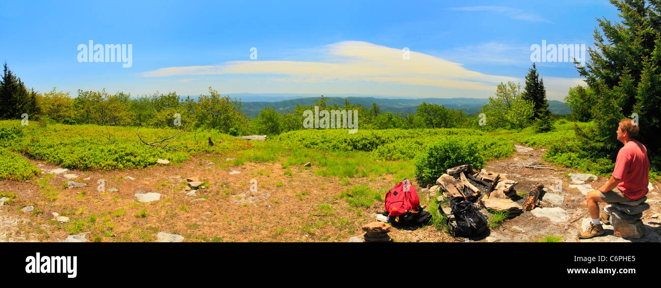 Camp Site, Hidden PassageTrail, Flat Rock and Roaring Plains, Dolly Sods, Dry Creek, West Virginia, USA Stock Photo