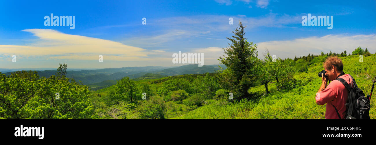 Hidden PassageTrail, Flat Rock and Roaring Plains, Dolly Sods, Dry Creek, West Virginia, USA Stock Photo