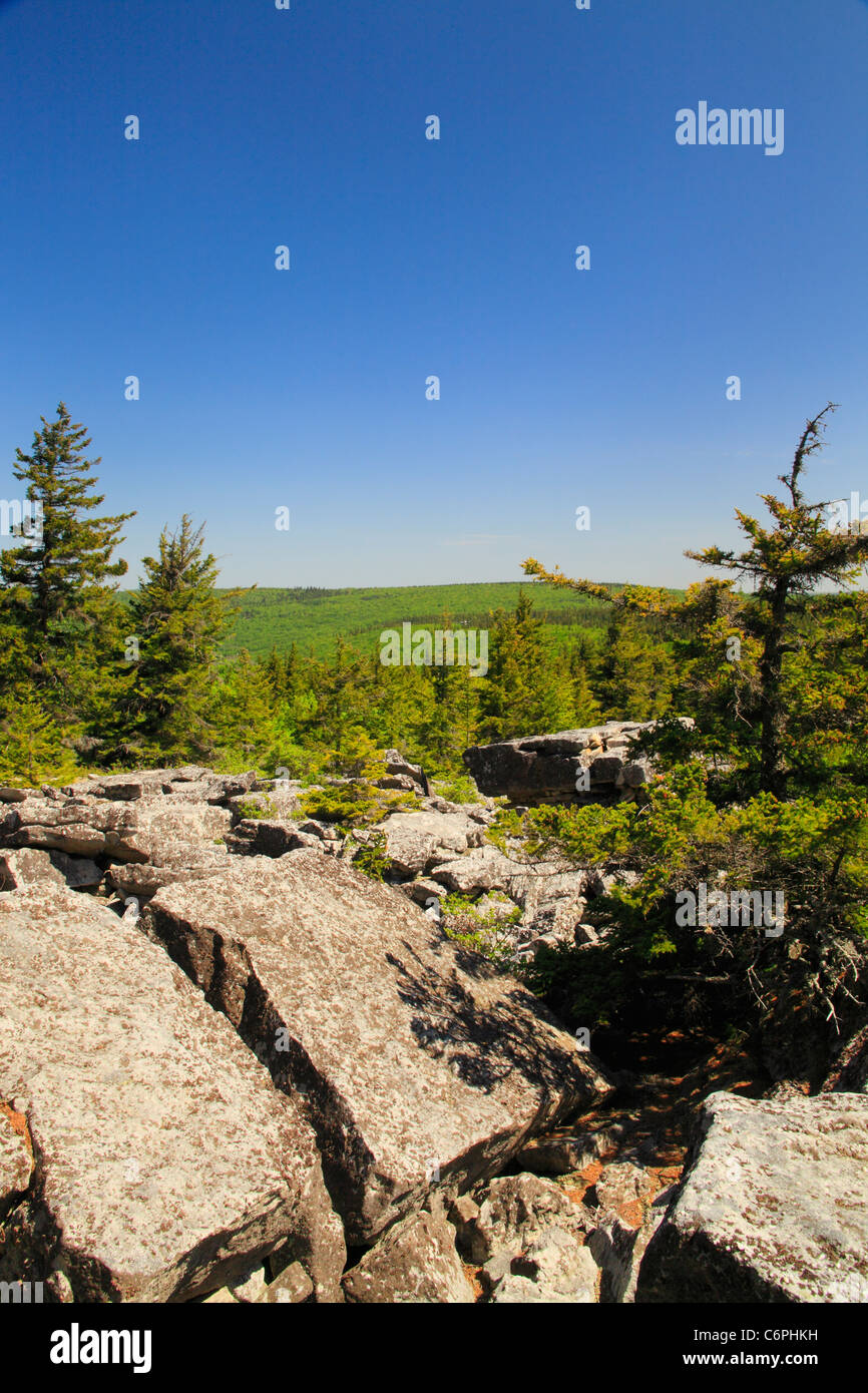 South Prong Trail, Flat Rock and Roaring Plains, Dolly Sods, Dry Creek, West Virginia, USA Stock Photo