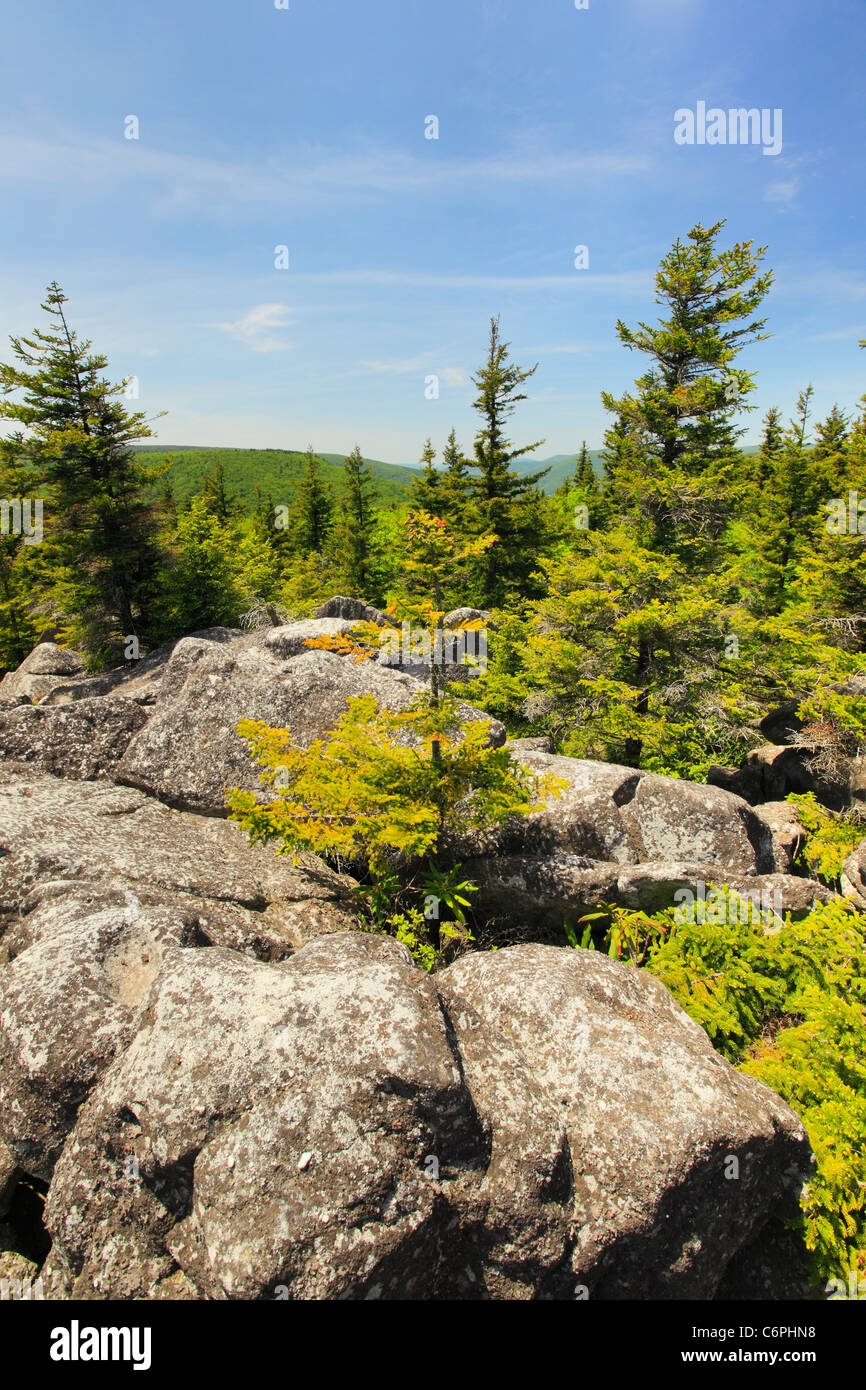 South Prong Trail, Flat Rock and Roaring Plains, Dolly Sods, Dry Creek, West Virginia, USA Stock Photo