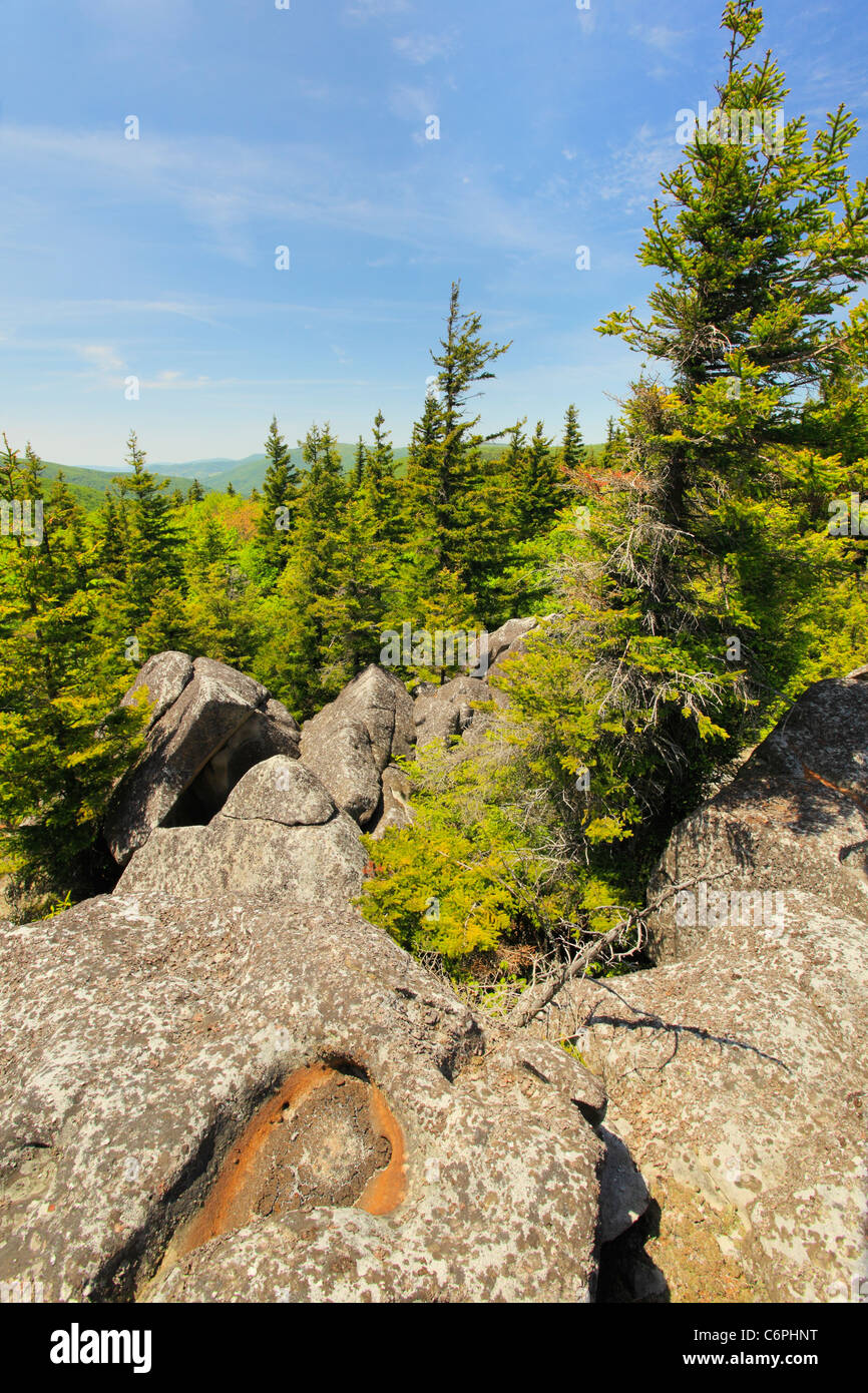 Pot Hole, South Prong Trail, Flat Rock and Roaring Plains, Dolly Sods, Dry Creek, West Virginia, USA Stock Photo