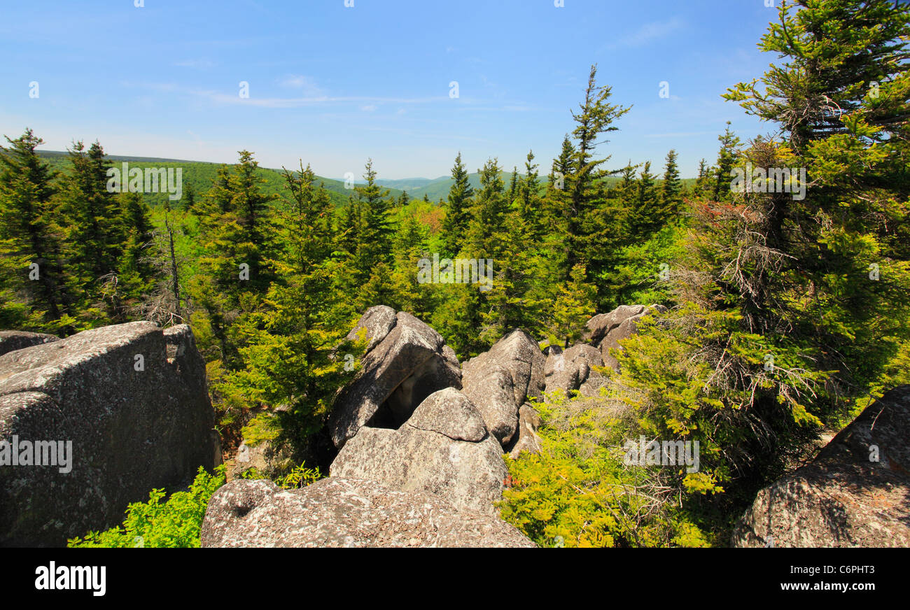 South Prong Trail, Flat Rock and Roaring Plains, Dolly Sods, Dry Creek, West Virginia, USA Stock Photo