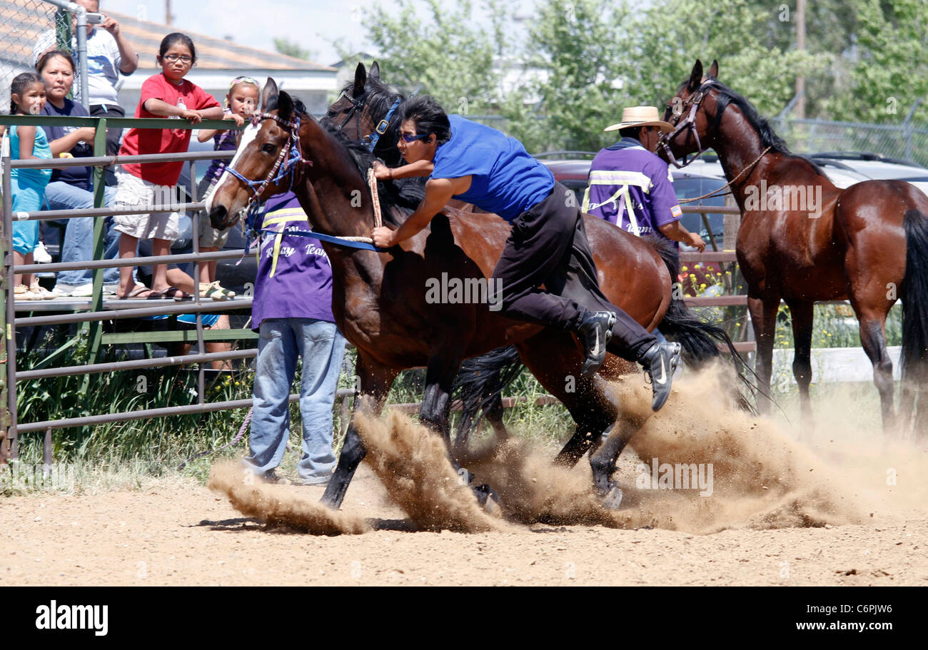 Indian Relay Horse race held during the annual ShoshoneBannock