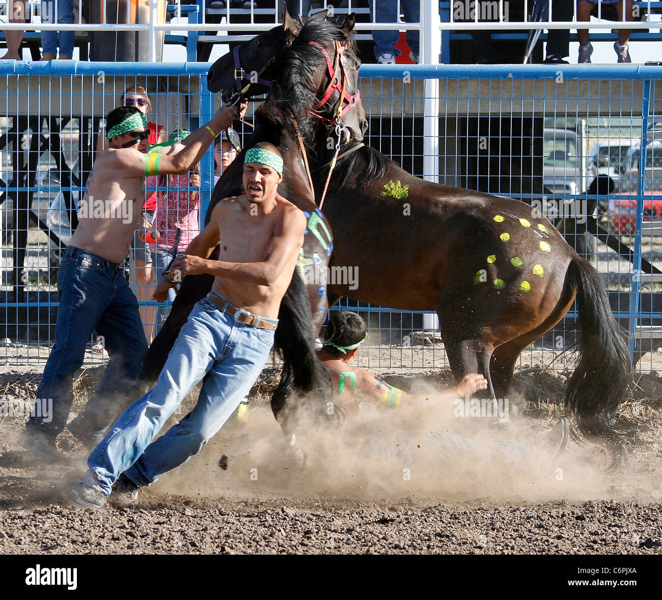 Indian Relay Horse race held during the annual ShoshoneBannock