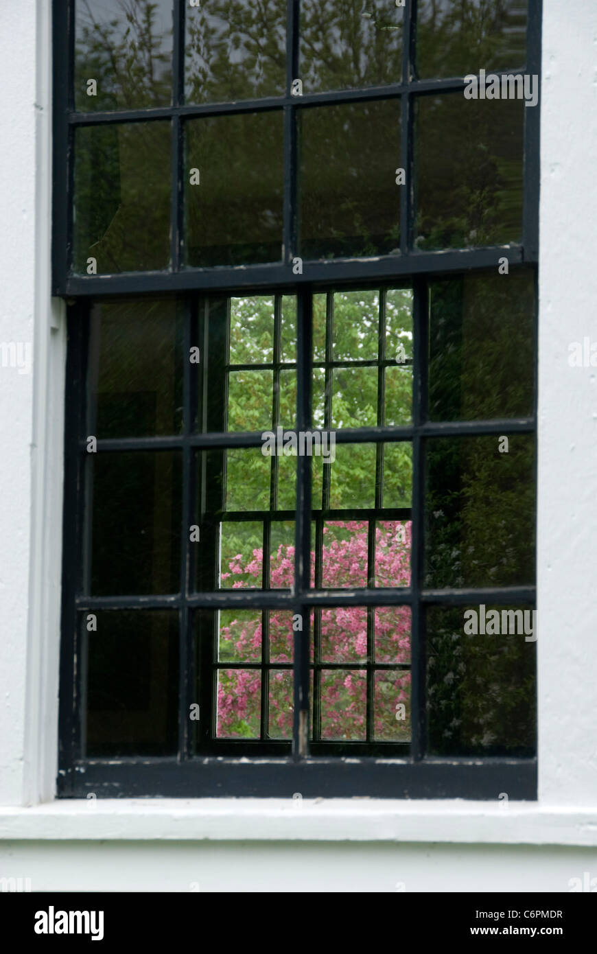 Pink flowers and green leaves through old school windows, Portage