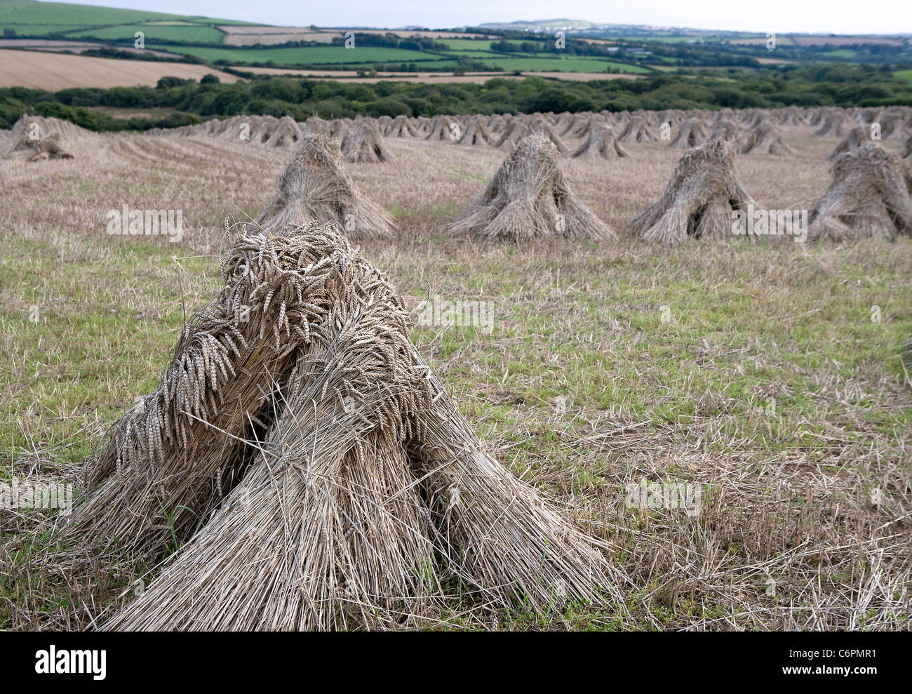 Bales of hay stacked in the old fashioned way Stock Photo Alamy