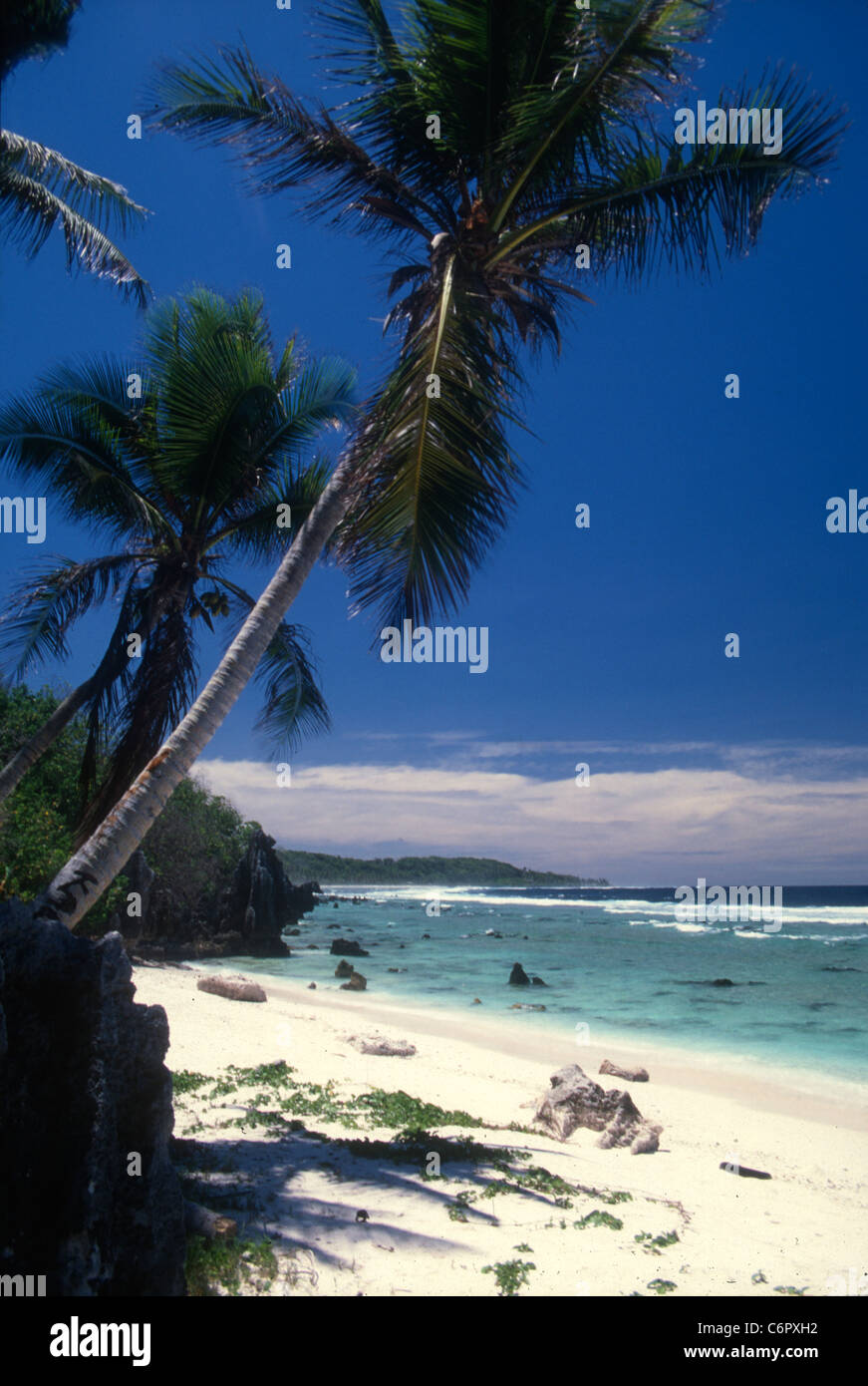 Palm trees wave above Anibare Bay. Republic of Nauru, Central Pacific ...