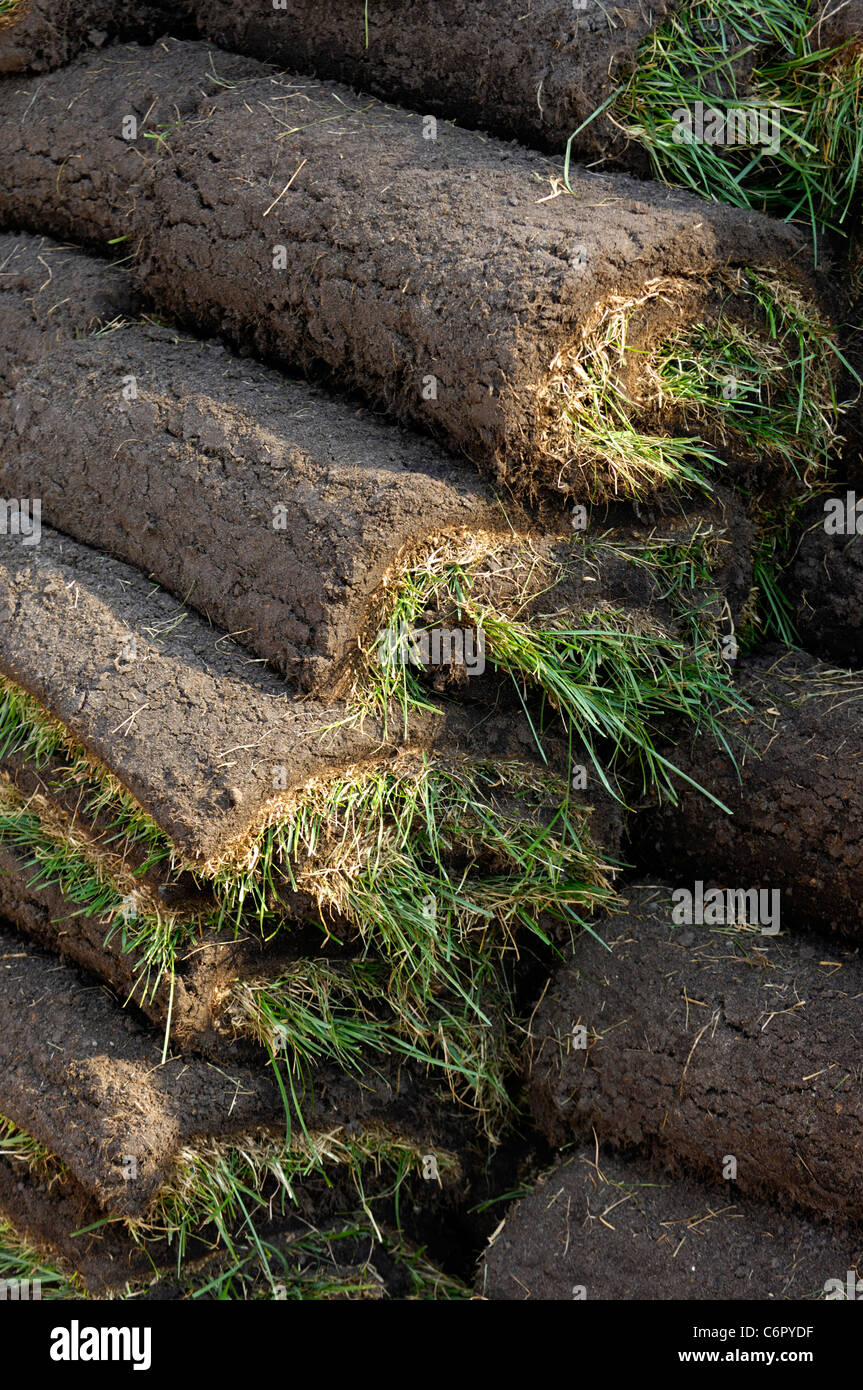 Lawn turf rolls stacked together Stock Photo