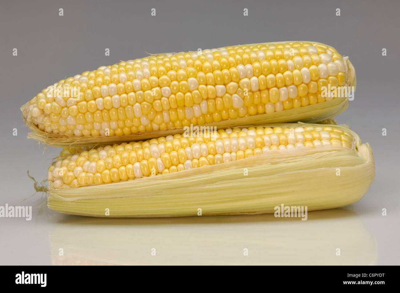 Sweet corn closeup isolated on gray background Stock Photo