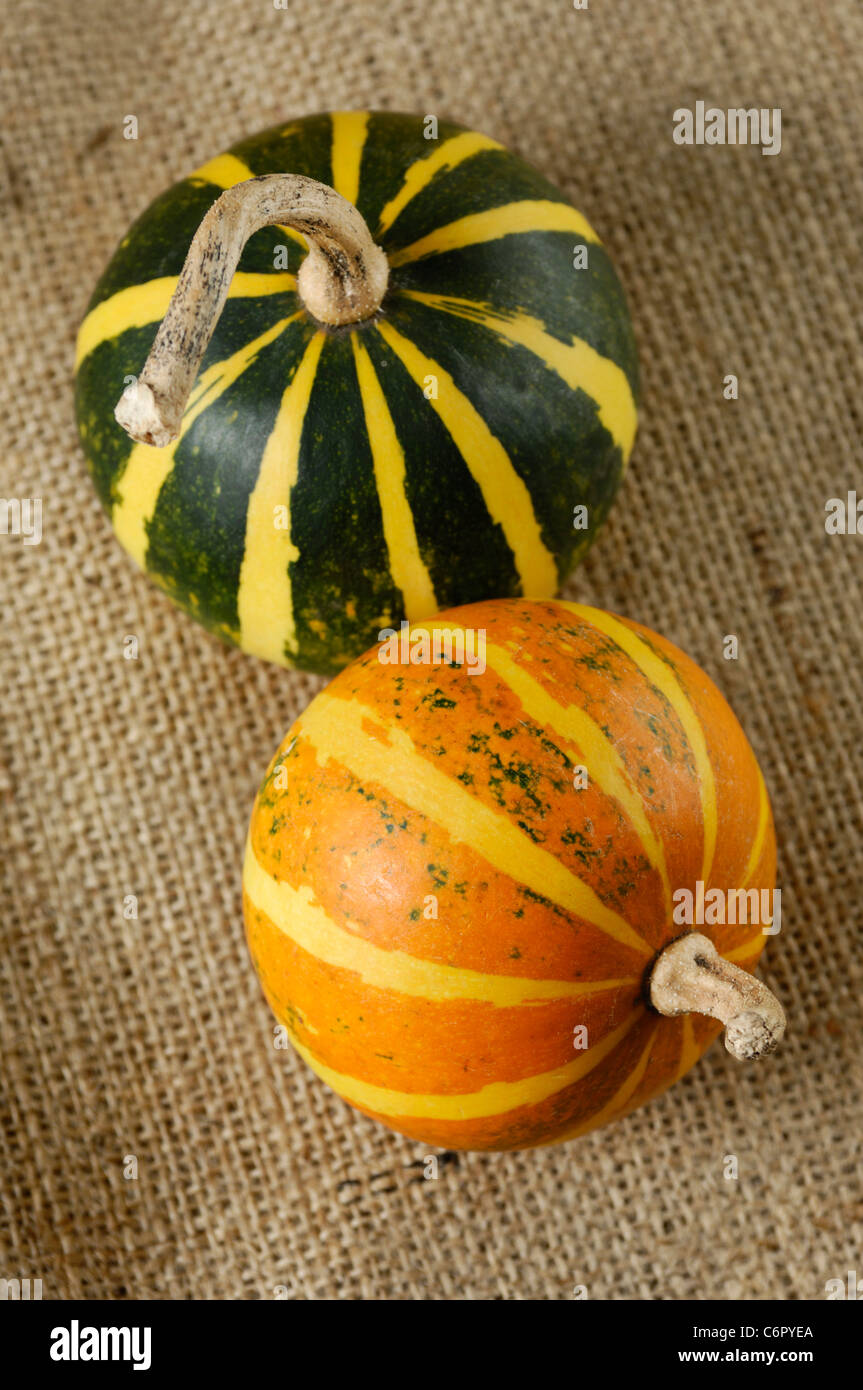 Two striped gourds on burlap Country style still life Stock Photo