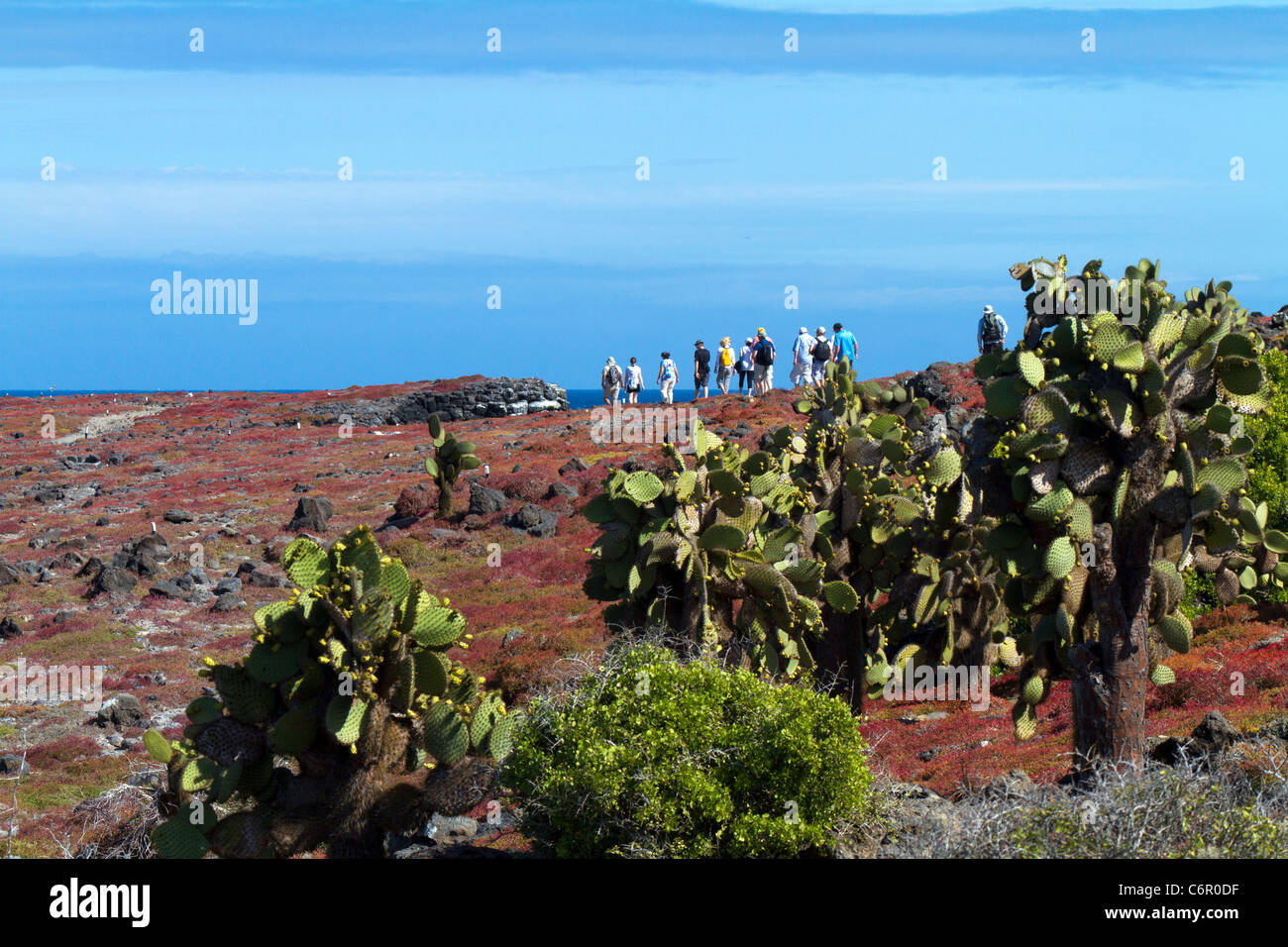 Tourists walking the trail at South Plaza, Galapagos Islands Stock Photo