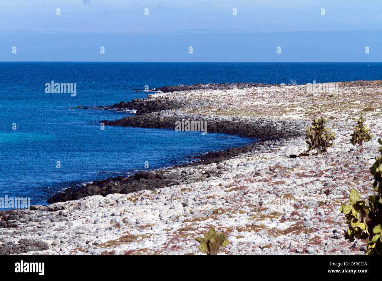 The rocky foreshore of South Plaza, Galapagos Islands Stock Photo