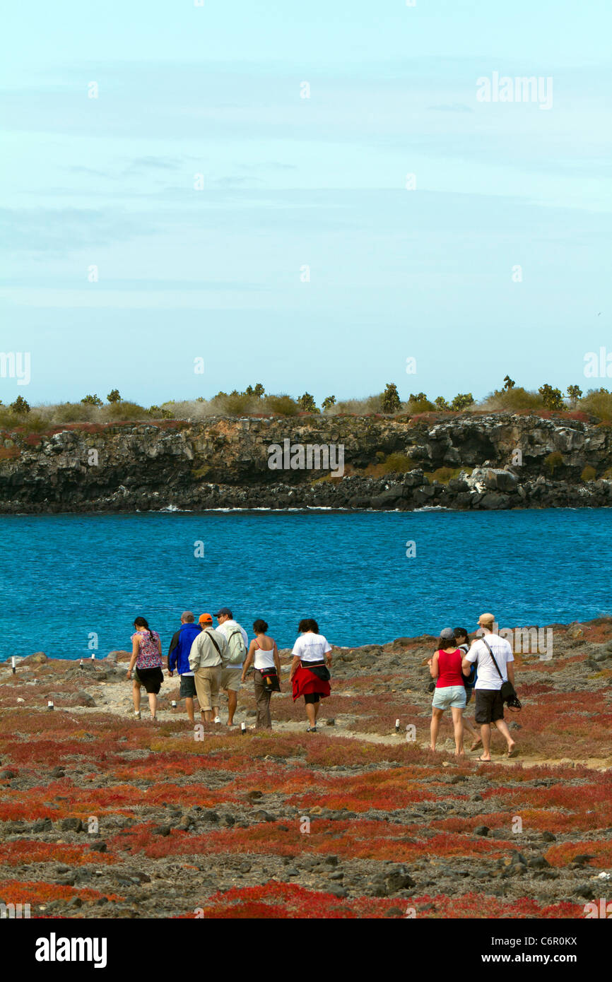 Tourists walking the hiking trail at South Plaza, Galapagos Islands Stock Photo