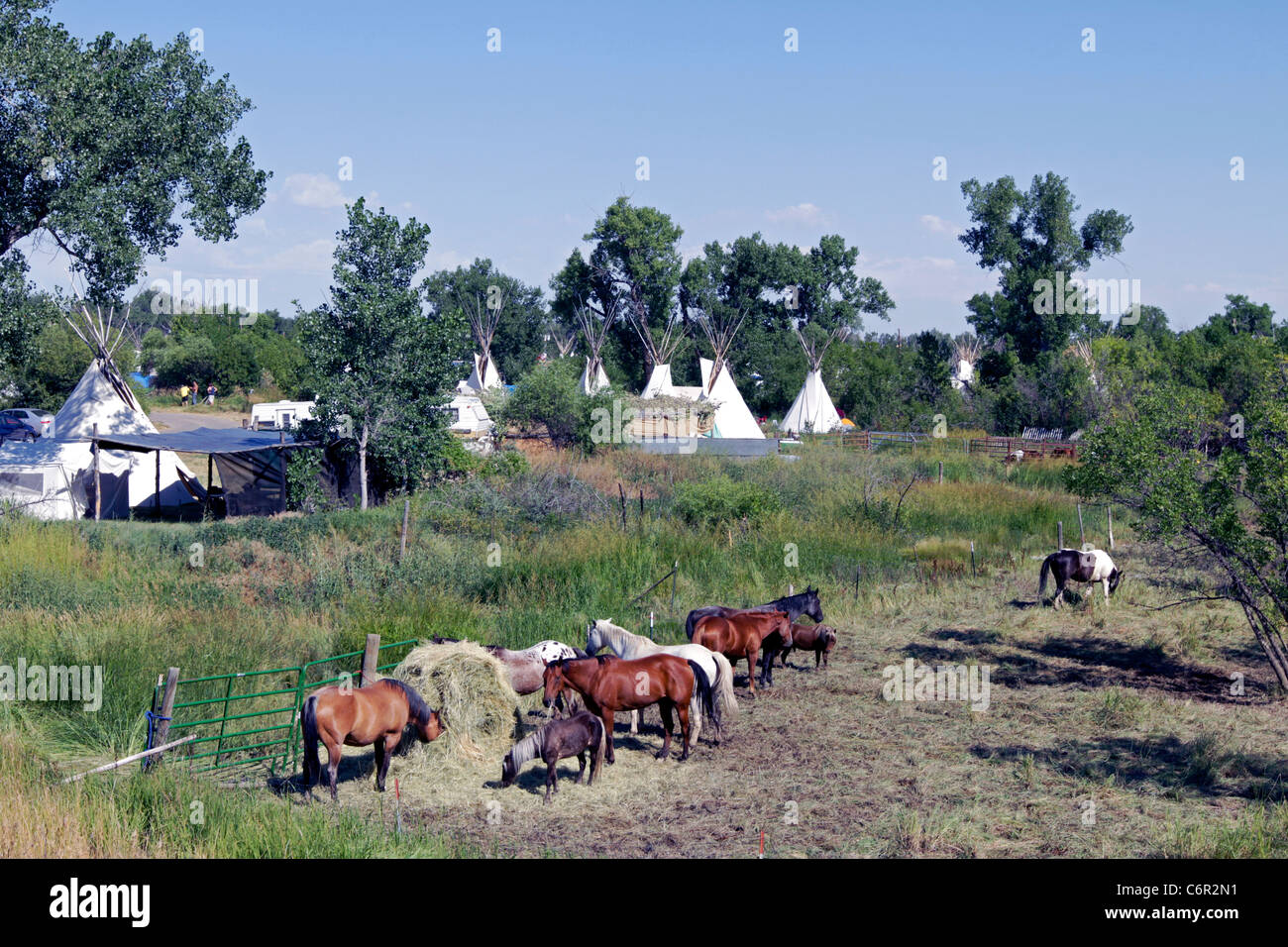 Horses in coral at the Crow Agency Reservation, Montana. Stock Photo