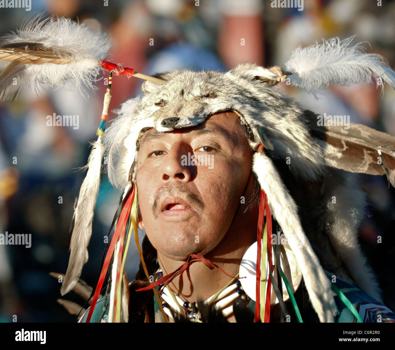 Participant in a powwow held during the annual Shoshone-Bannock Festival in Fort Hall, Idaho, wearing a wolf head headdress. Stock Photo