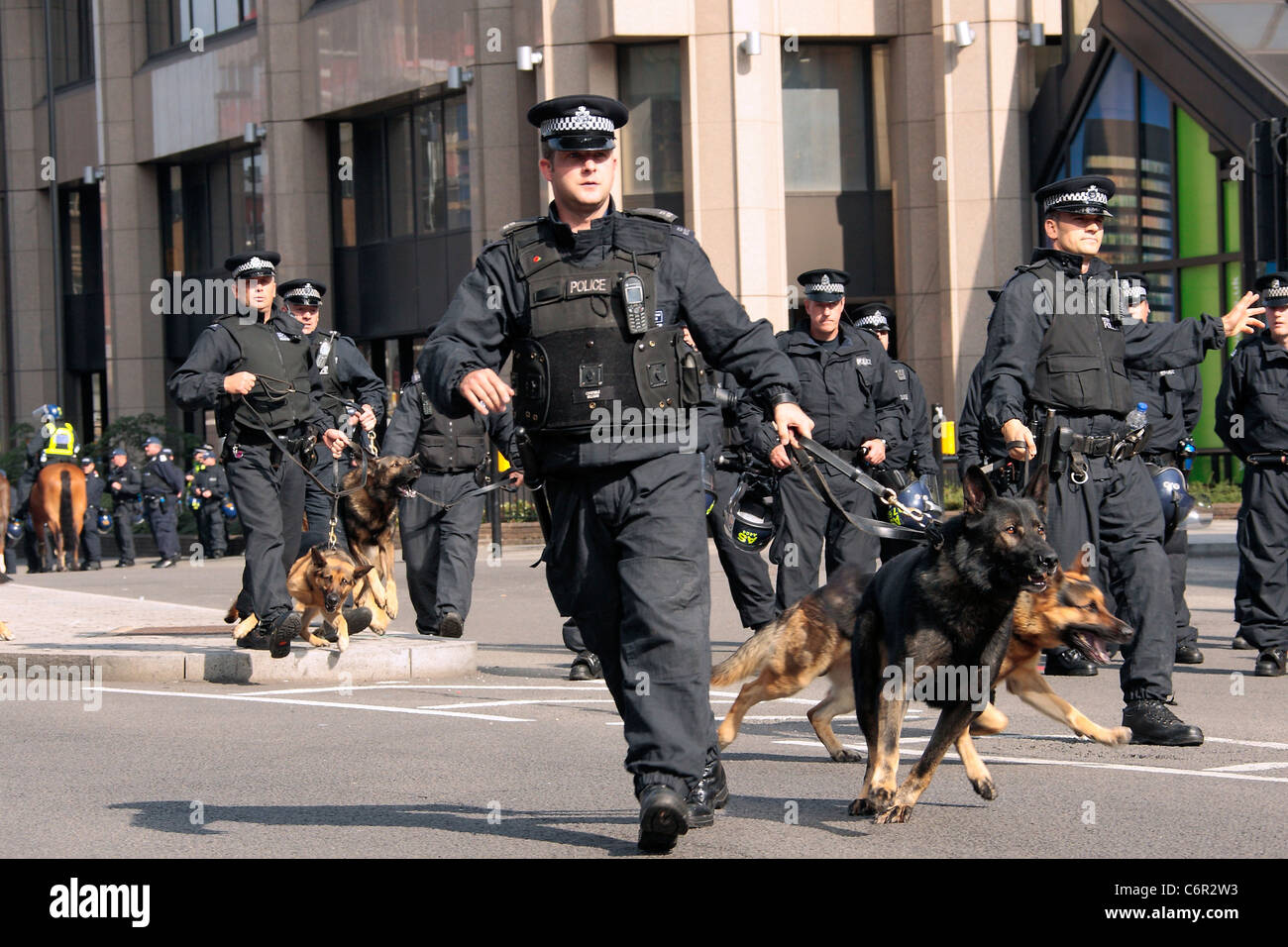 Police dogs deployed to control EDL supporters in Aldgate, London during a demonstration. Stock Photo