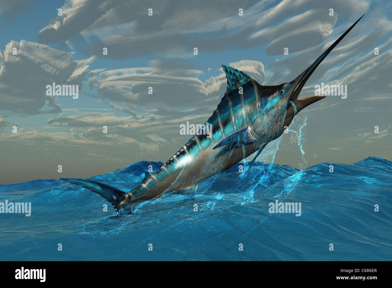 An iridescent Blue Marlin bursts from ocean waters with with marvelous energy. Stock Photo