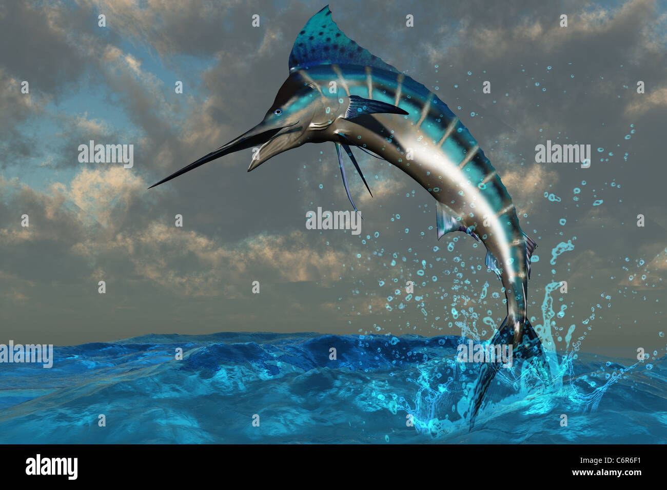 A spectacular Blue Marlin flashes its iridescent colors as it bursts from the ocean. Stock Photo