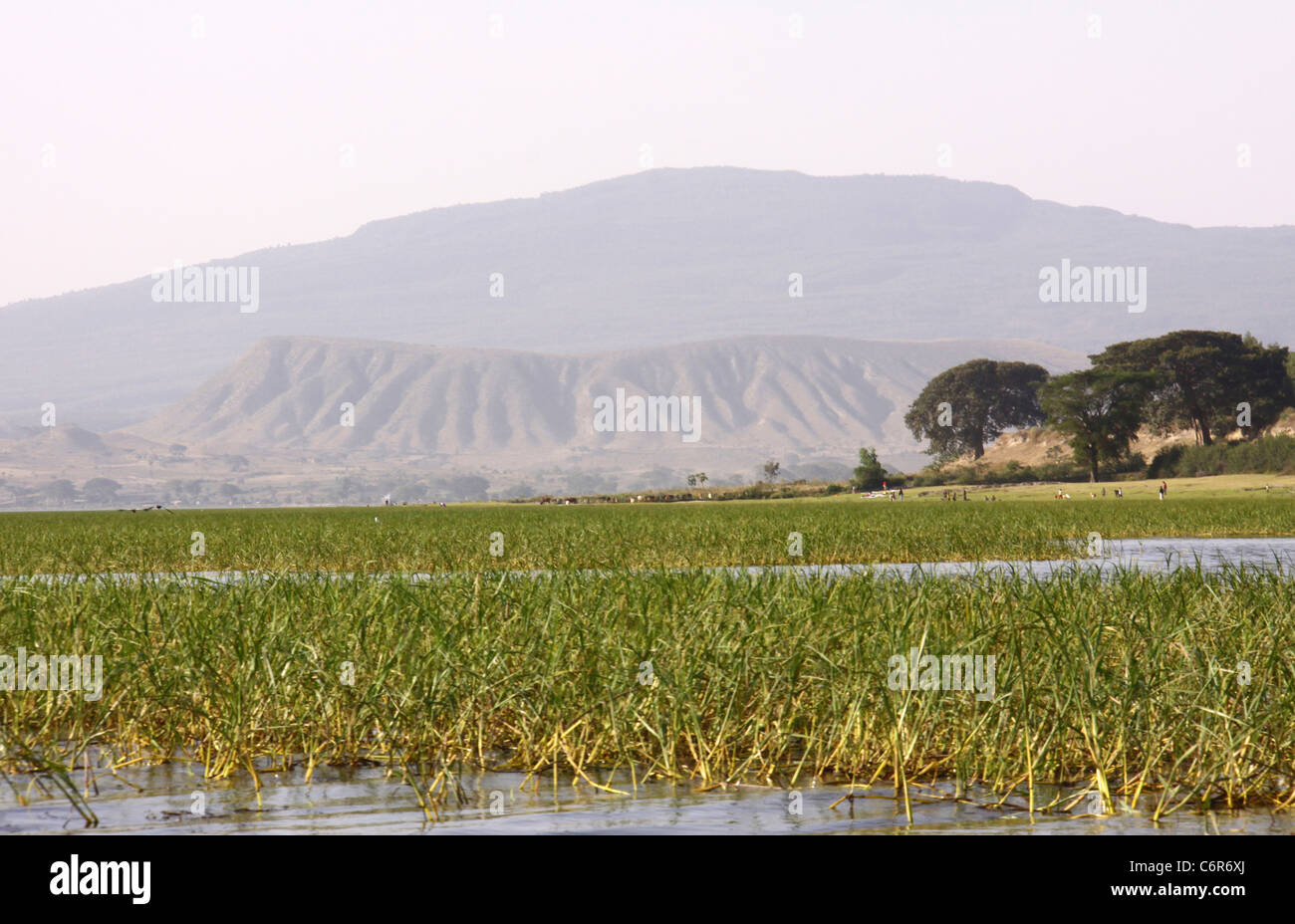 Extinct volcanic crater viewed from lake Awassa Stock Photo